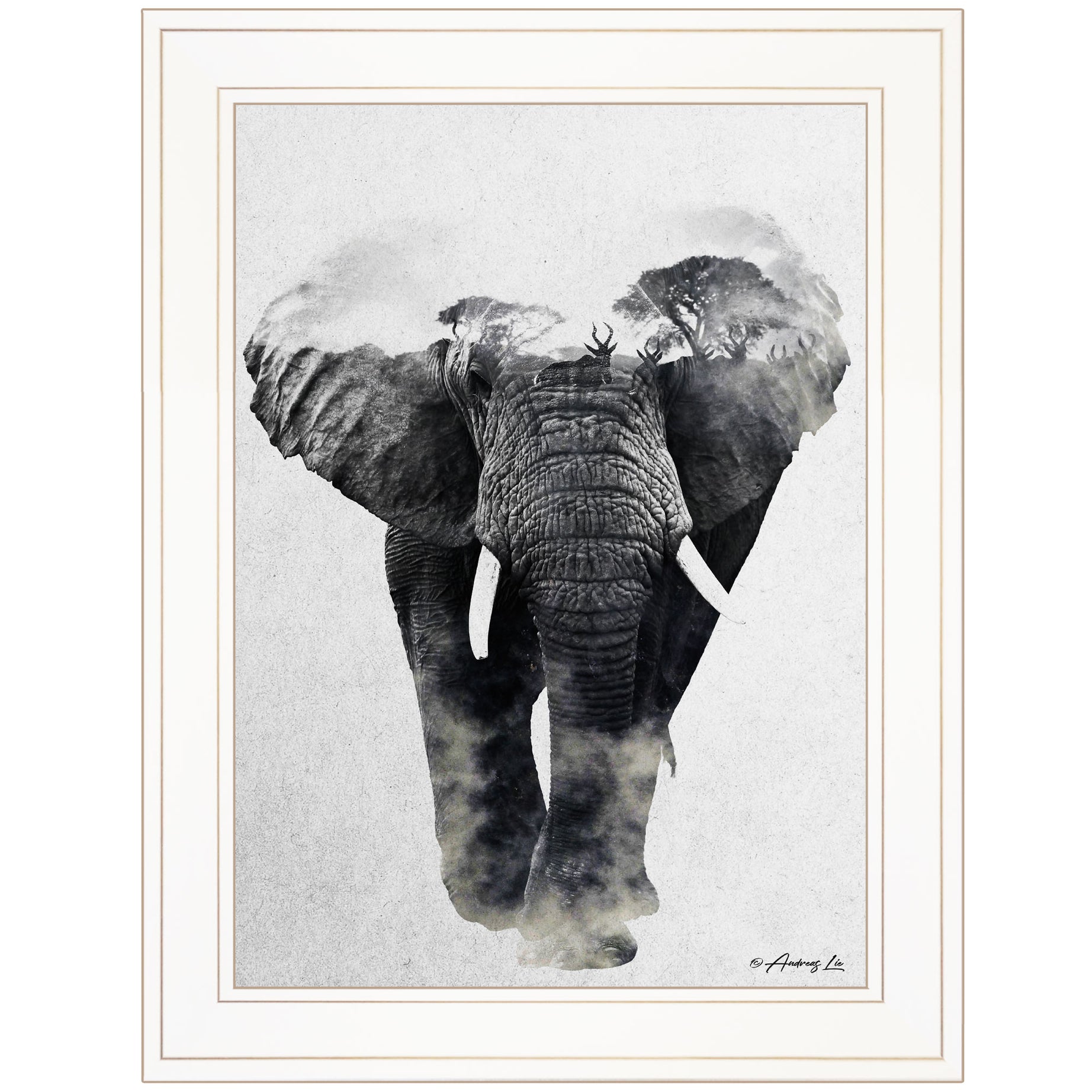 "Elephant Walk" by Andreas Lie, Ready to Hang Framed Print, White Frame--1