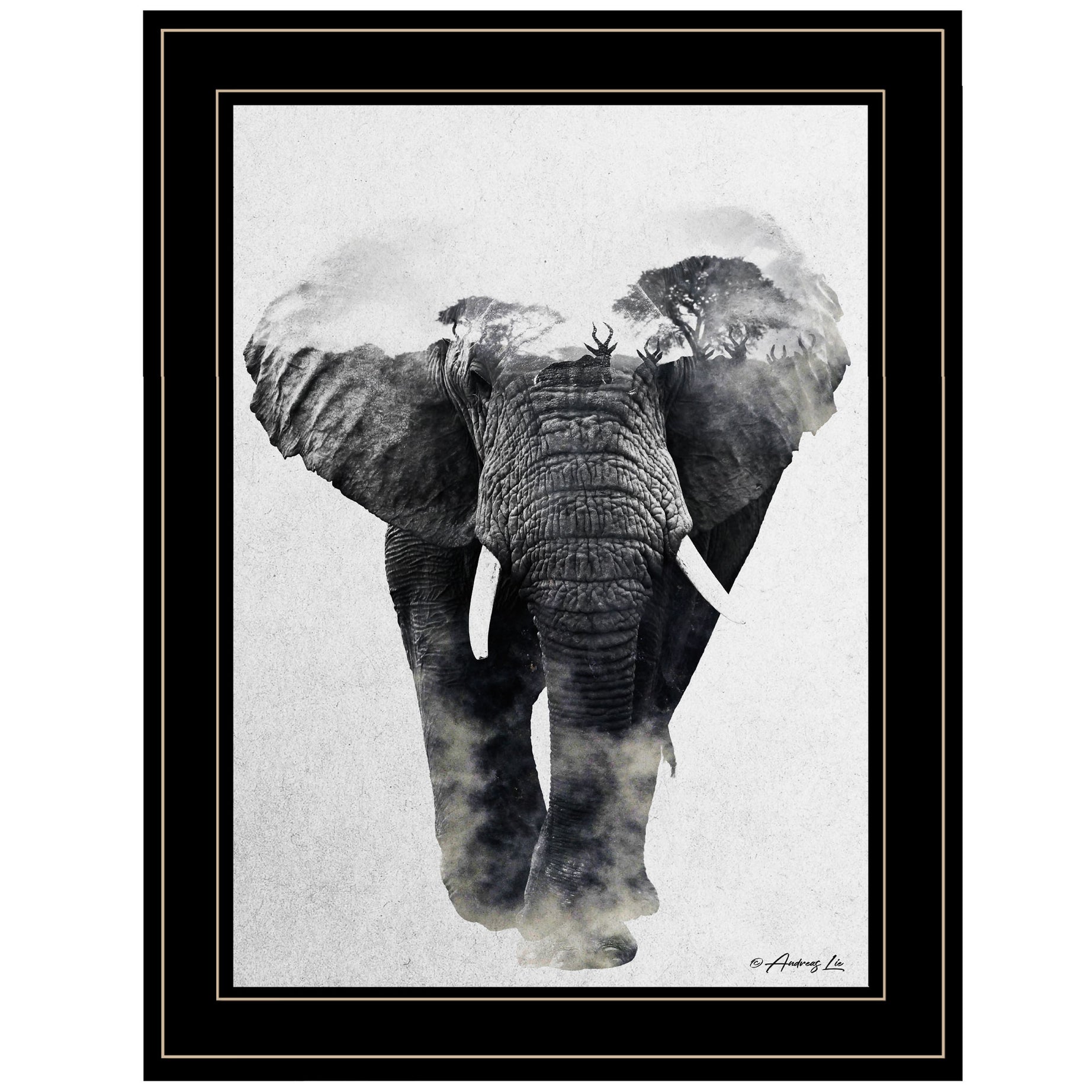 "Elephant Walk" by Andreas Lie, Ready to Hang Framed Print, Black Frame--1