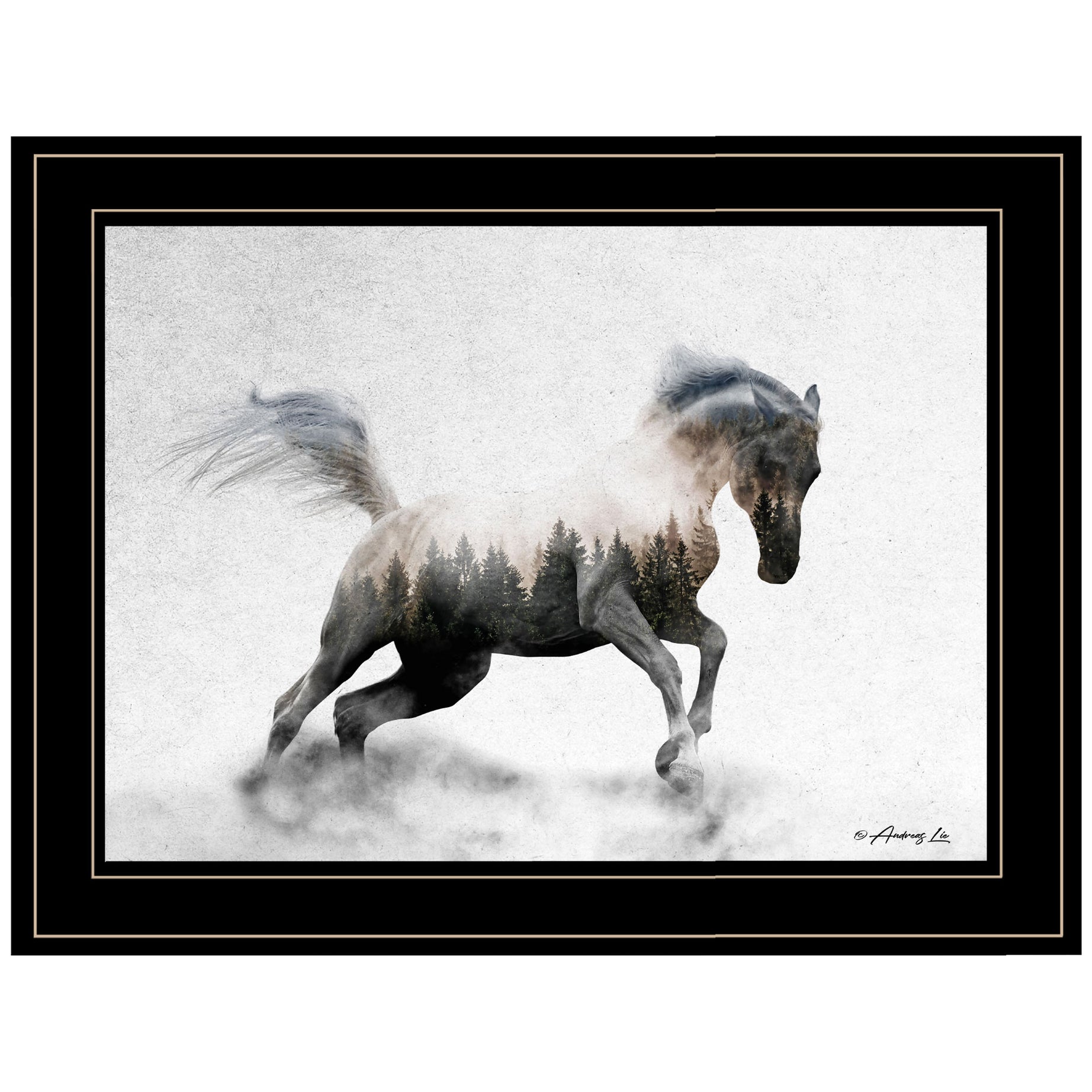 "Running White Stallion" by Andreas Lie, Ready to Hang Framed Print, Black Frame--1