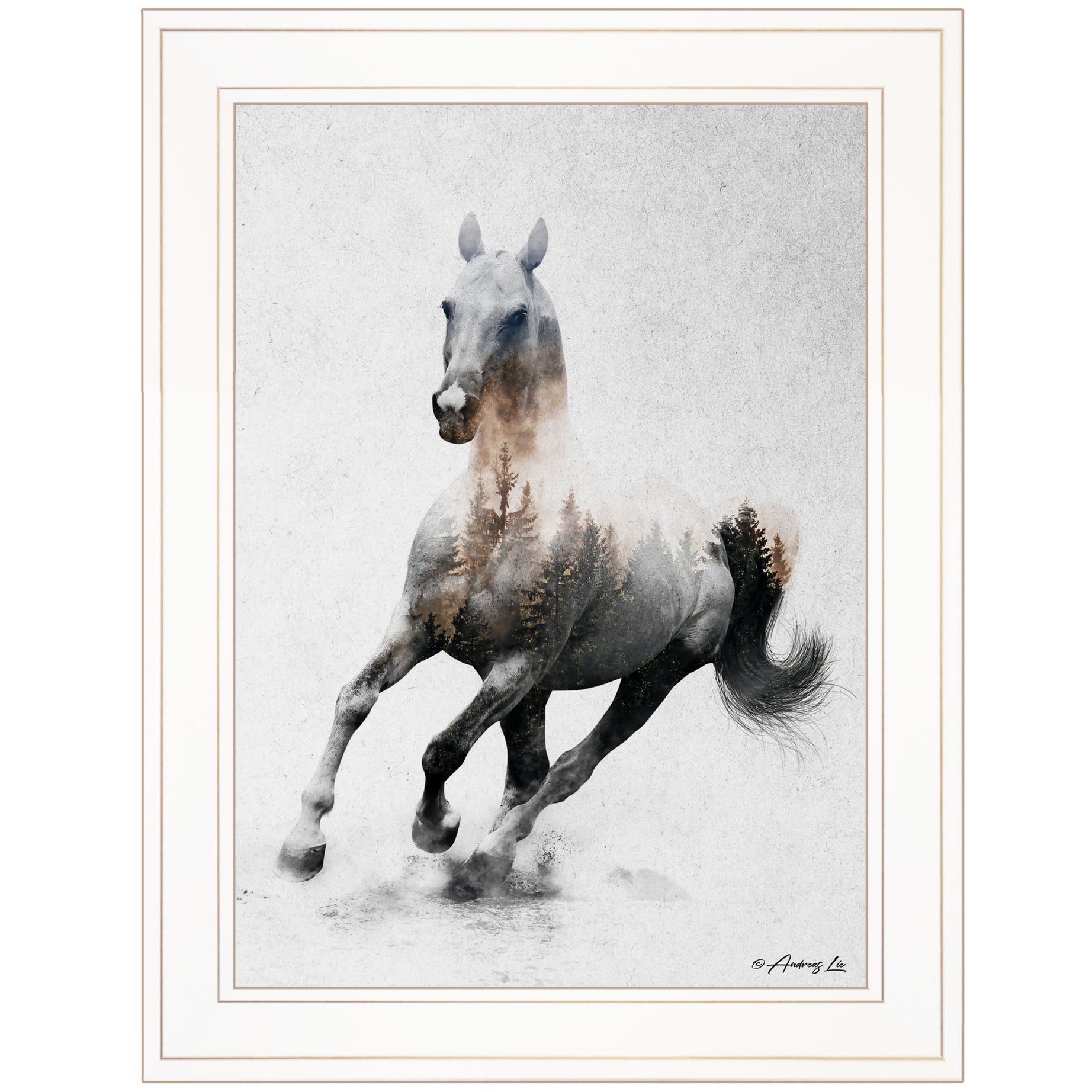 "Galloping Stallion" by Andreas Lie, Ready to Hang Framed Print, White Frame--1