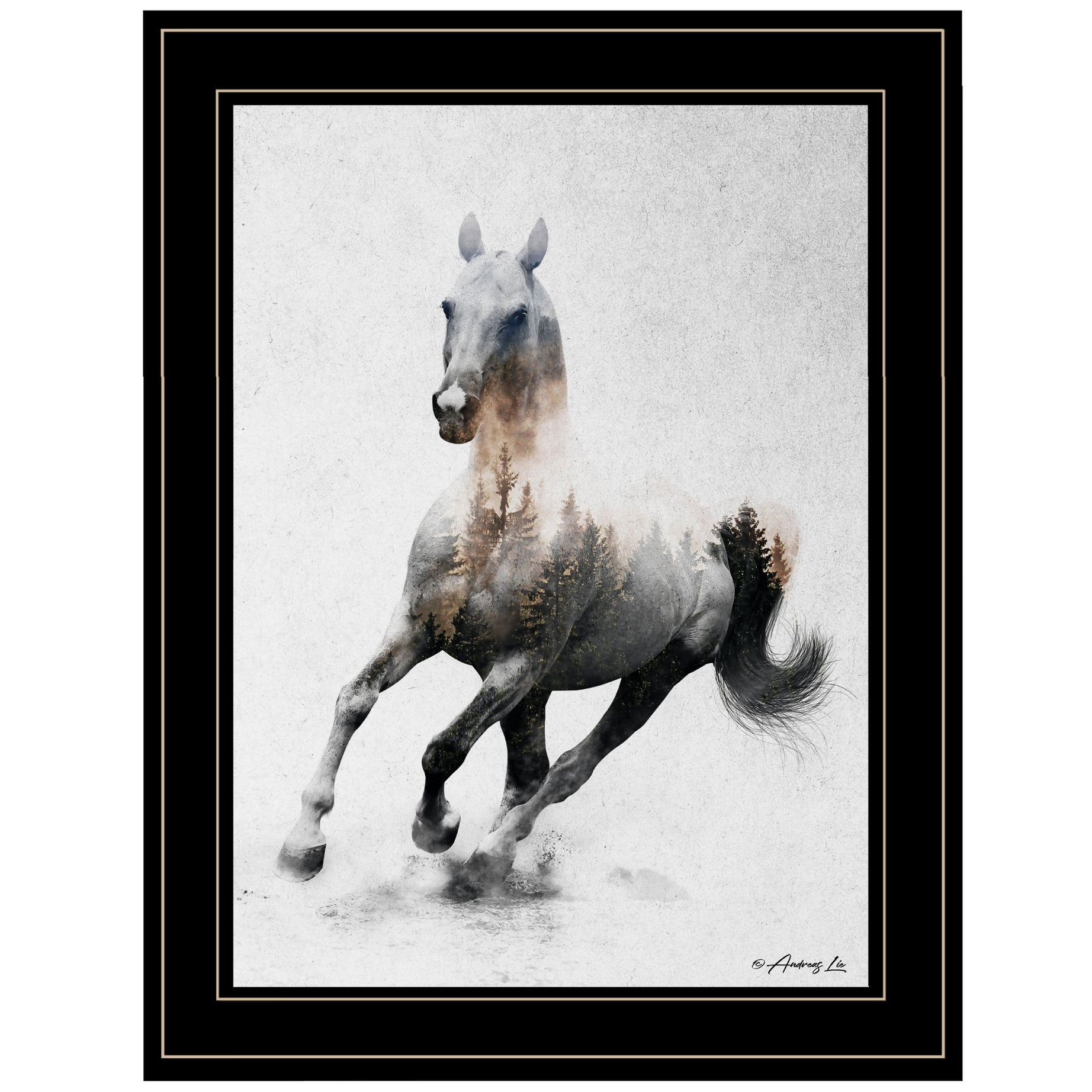 "Galloping Stallion" by Andreas Lie, Ready to Hang Framed Print, Black Frame--1