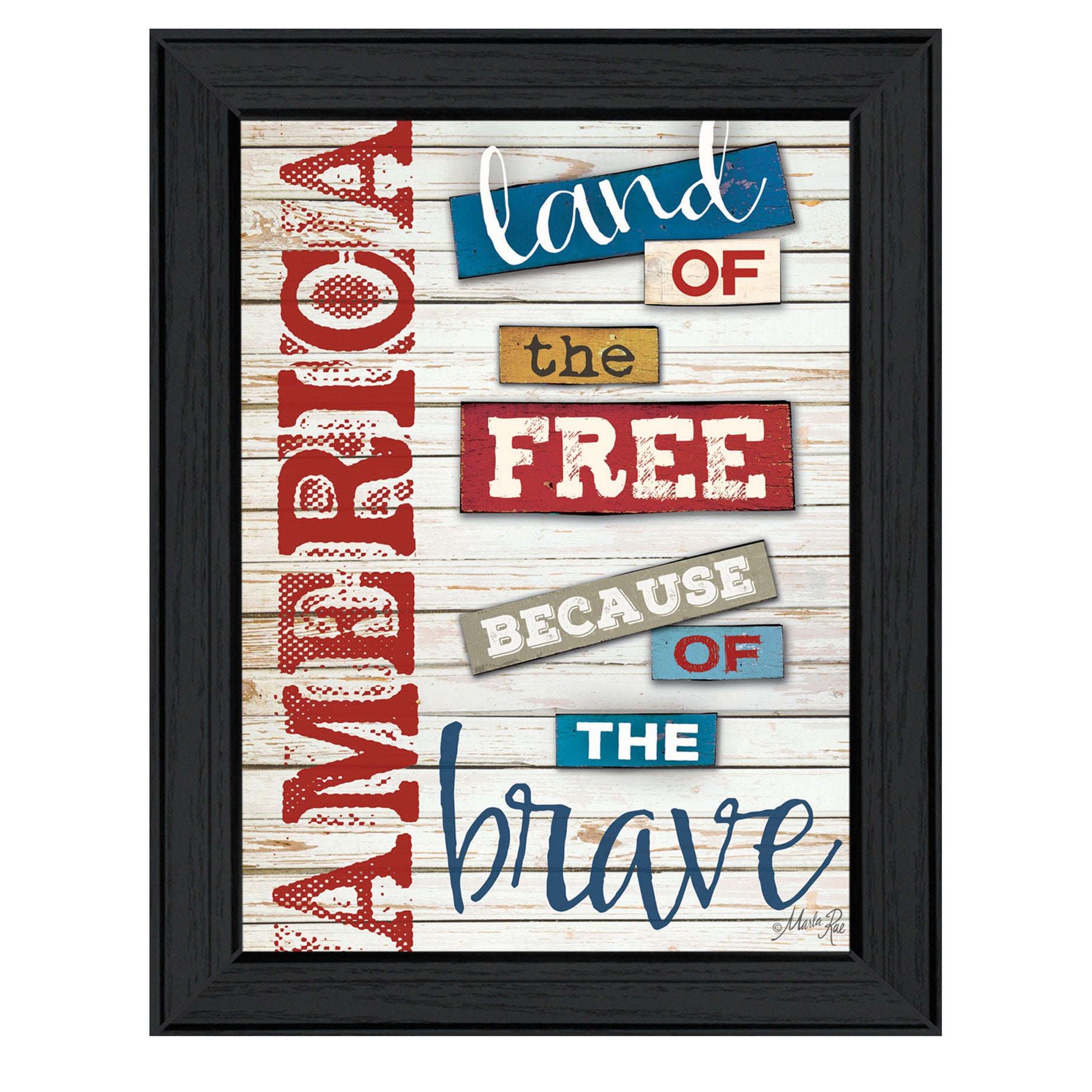 "America - Land of the Free" By Marla Rae, Printed Wall Art, Ready To Hang Framed Poster, Black Frame--1