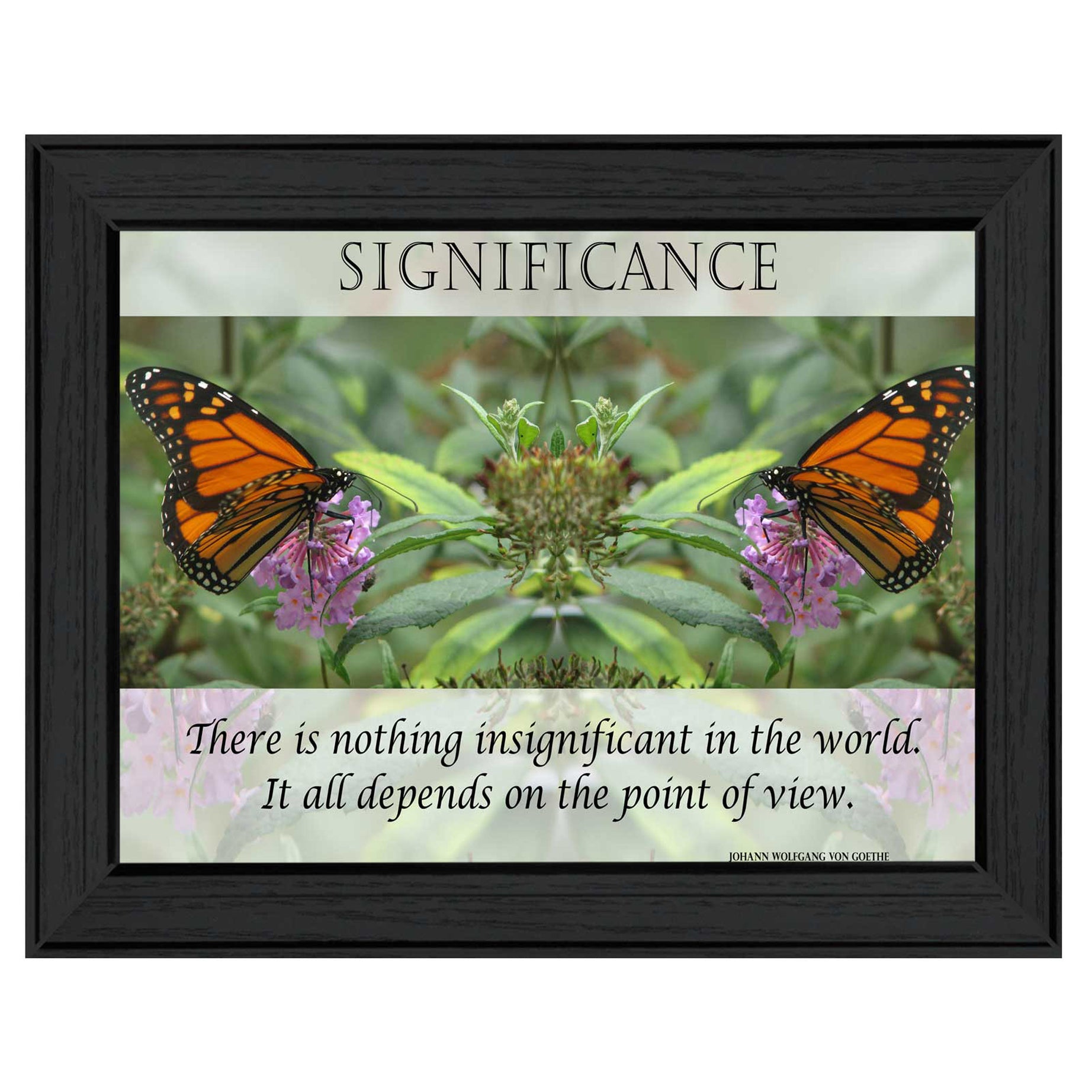 "Significance" By Trendy Decor4U, Printed Wall Art, Ready To Hang Framed Poster, Black Frame--1