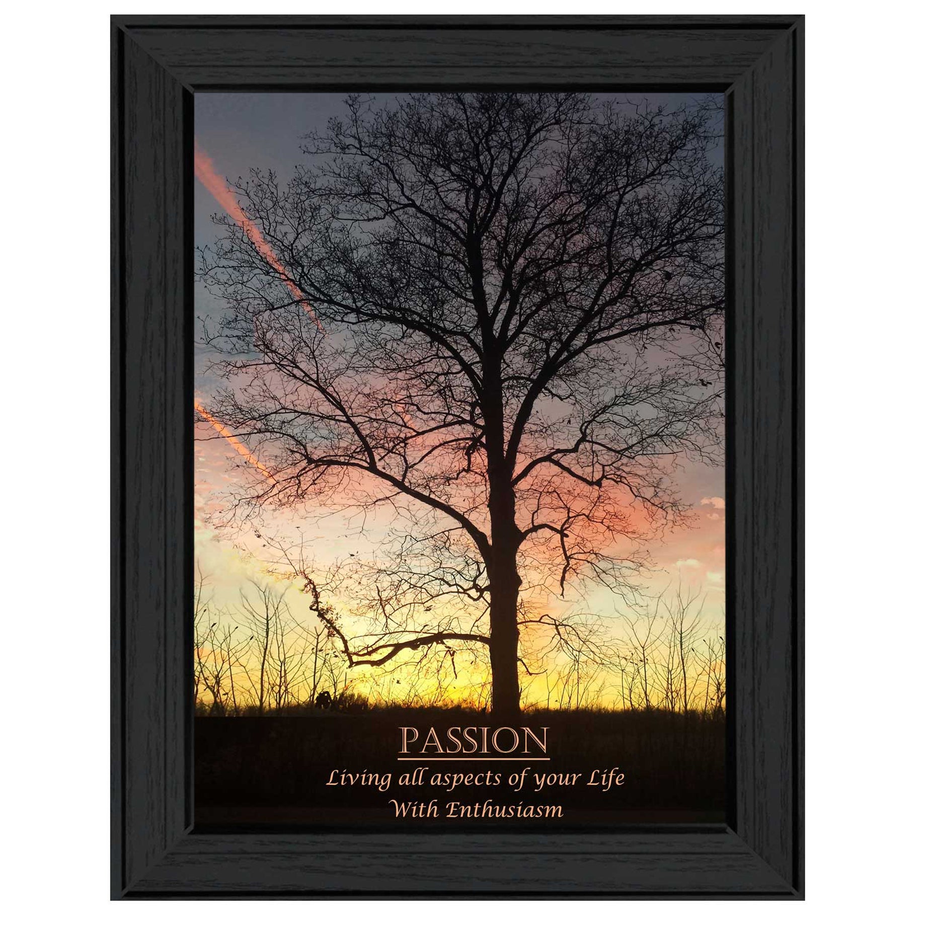 "Passion" By Trendy Decor4U, Printed Wall Art, Ready To Hang Framed Poster, Black Frame--1