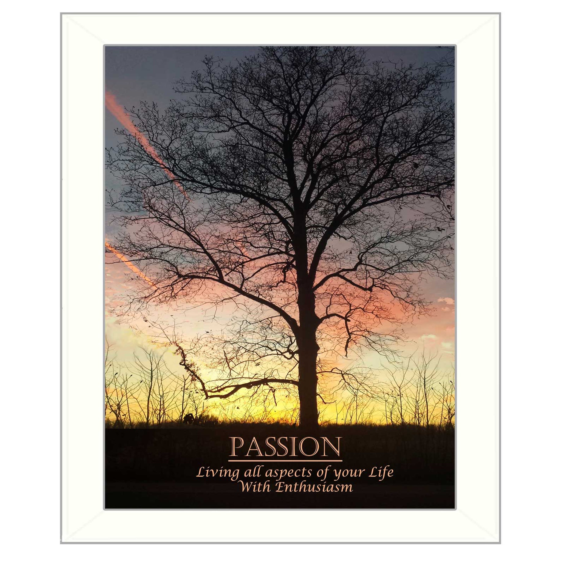 "Passion" By Trendy Decor4U, Printed Wall Art, Ready To Hang Framed Poster, White Frame--1