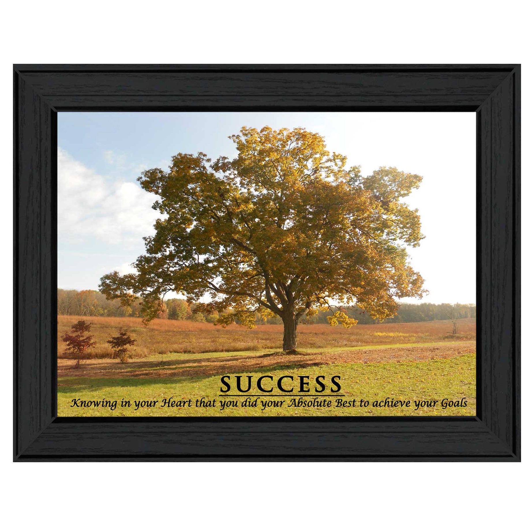 "Success" By Trendy Decor4U, Printed Wall Art, Ready To Hang Framed Poster, Black Frame--1