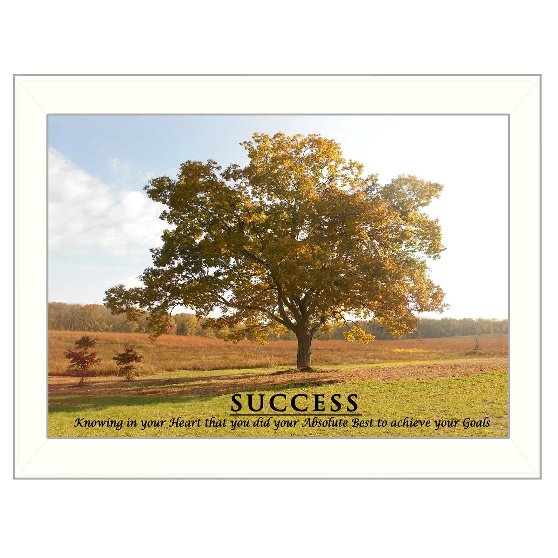 "Success" By Trendy Decor4U, Printed Wall Art, Ready To Hang Framed Poster, White Frame--1