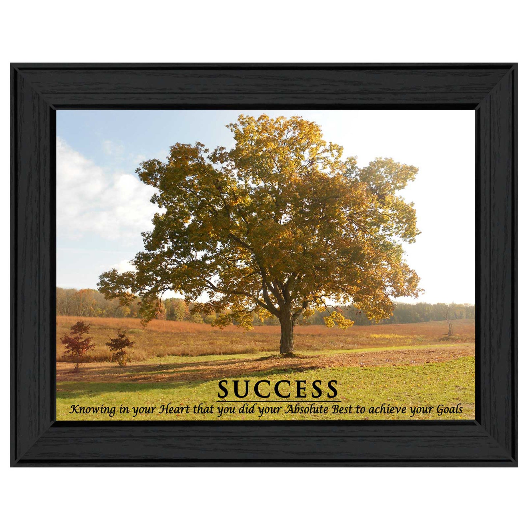 "Success" By Trendy Decor4U, Printed Wall Art, Ready To Hang Framed Poster, Black Frame--1