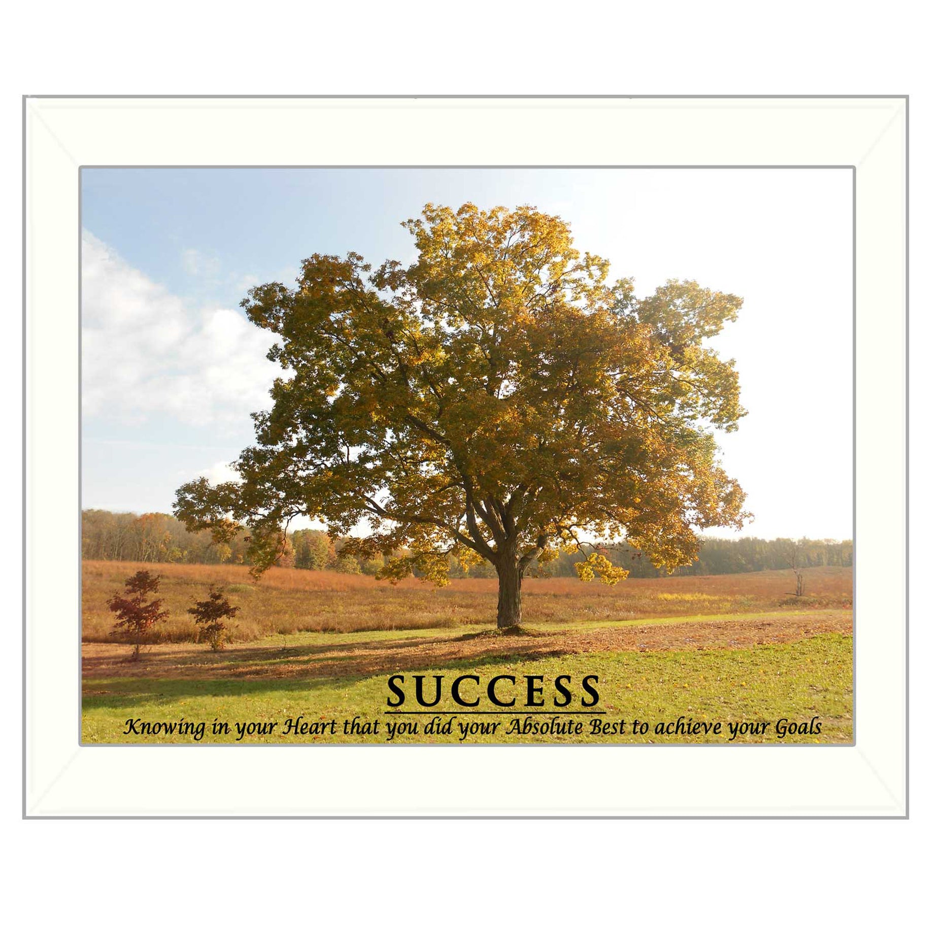 "Success" By Trendy Decor4U, Printed Wall Art, Ready To Hang Framed Poster, White Frame--1