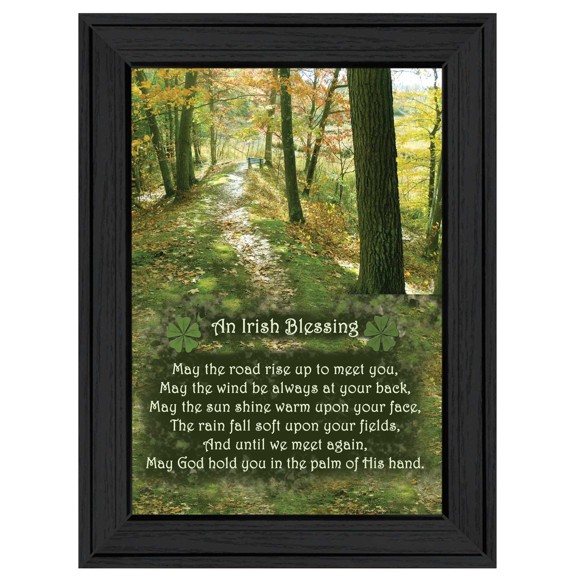 "Irish Blessing" By Trendy Decor4U, Printed Wall Art, Ready To Hang Framed Poster, Black Frame--1