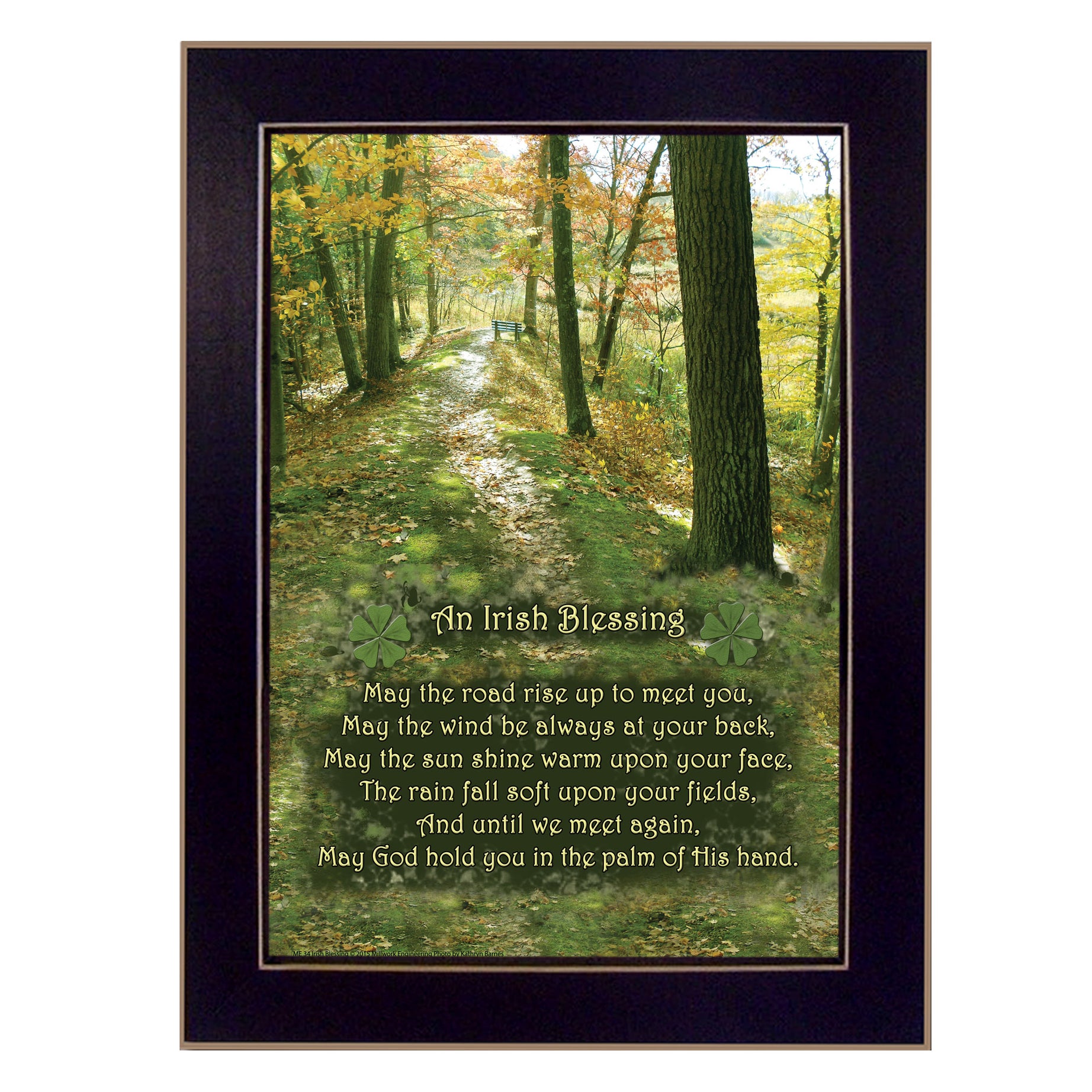 "Irish Blessing" By Trendy Decor4U, Printed Wall Art, Ready To Hang Framed Poster, Black Frame--1