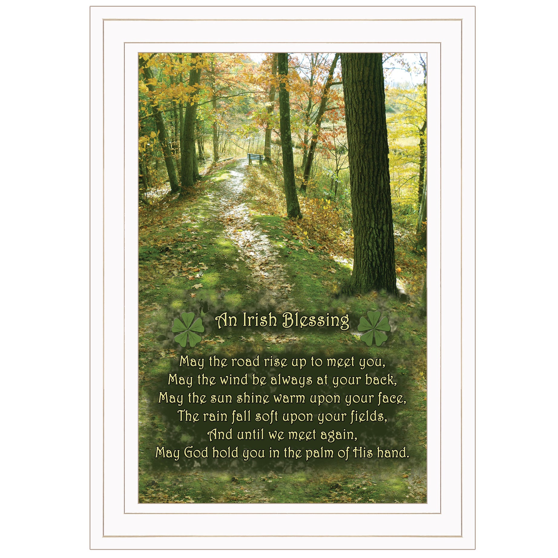 "Irish Blessing" By Trendy Decor 4U, Ready to Hang Framed Print, White Frame--1