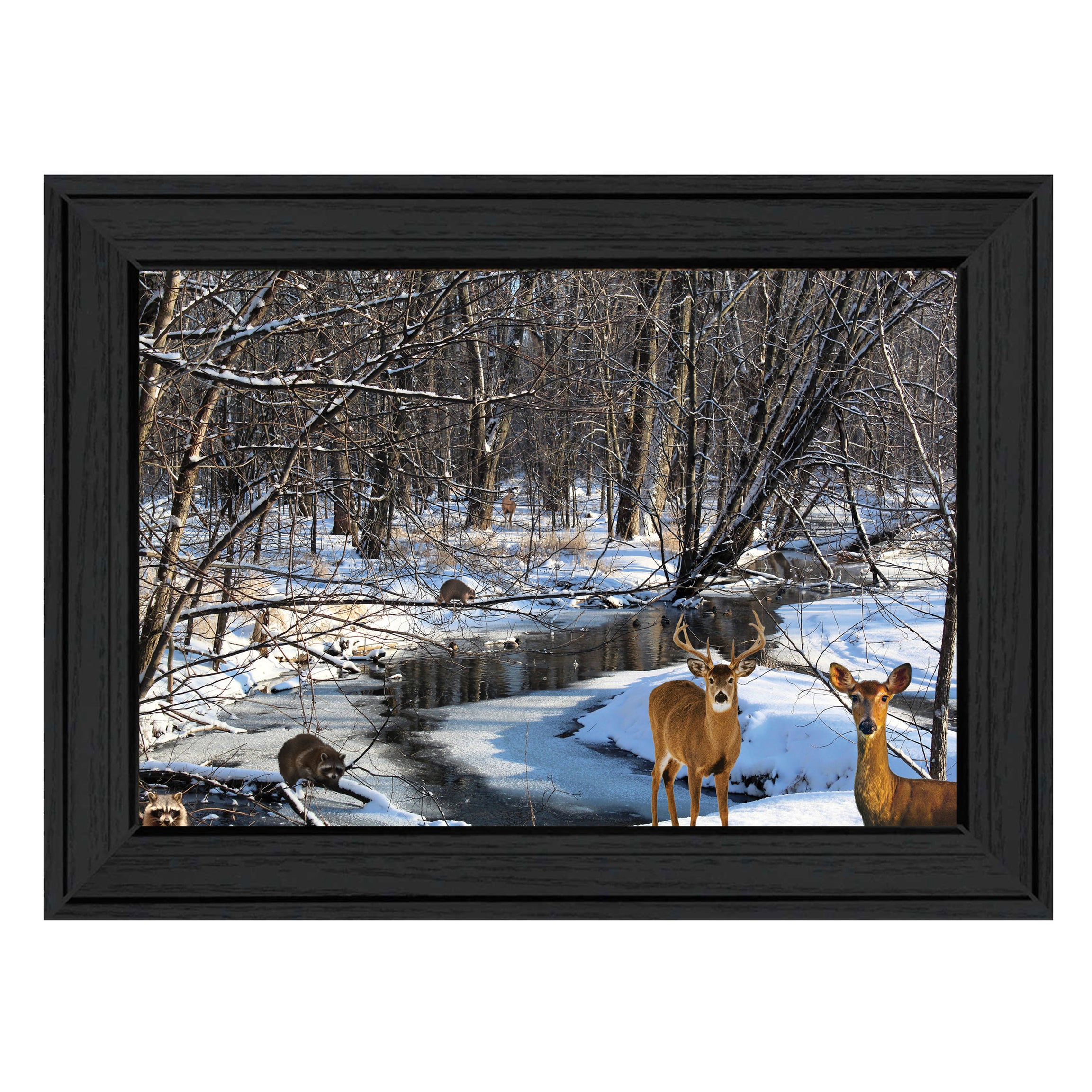 "Great Outdoors- Nature" by Artisan Trendy Decor 4U, Ready to Hang Framed Print, Black Frame--1