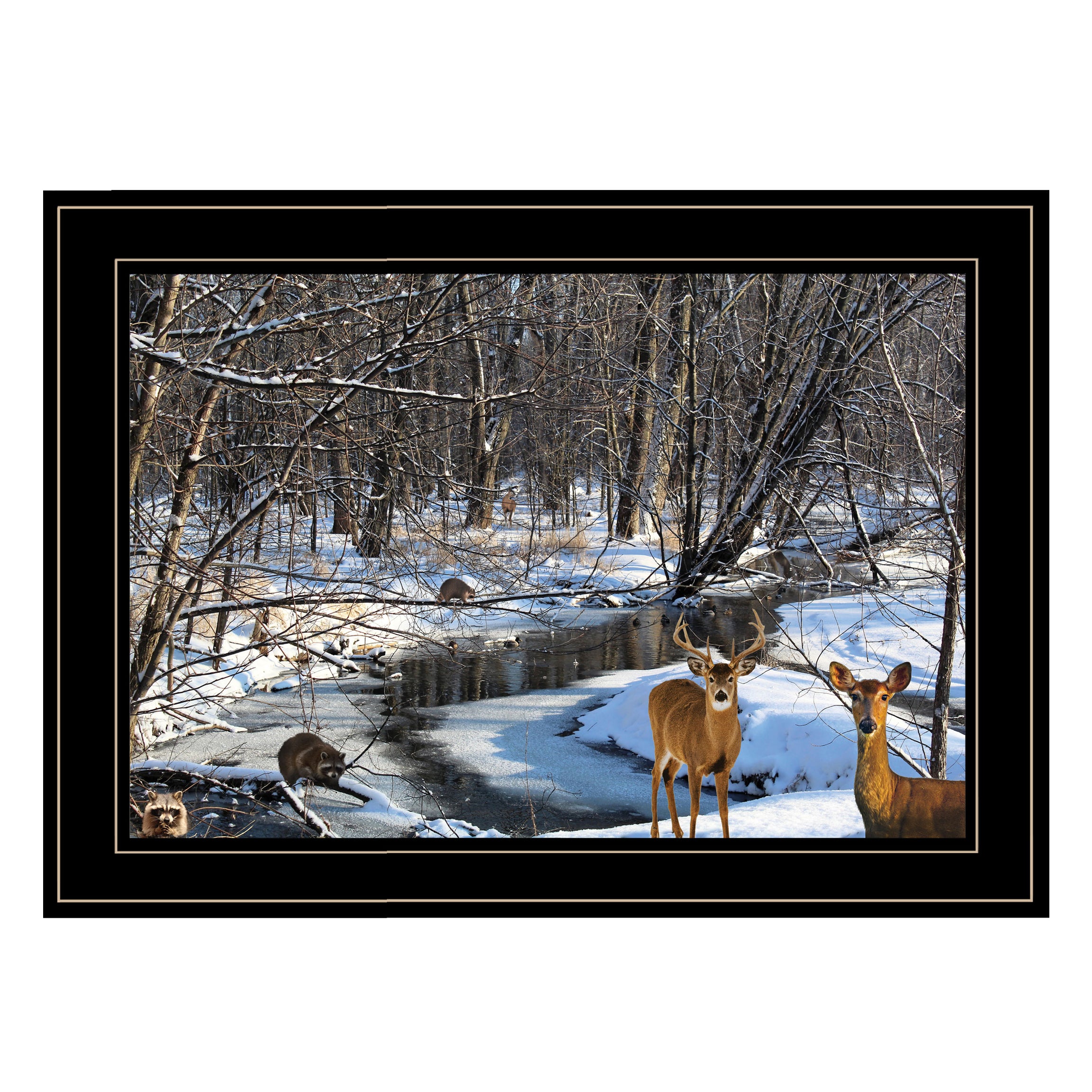 "Great Outdoors- Nature" by Artisan Trendy Decor 4U, Ready to Hang Framed Print, Black Frame--1