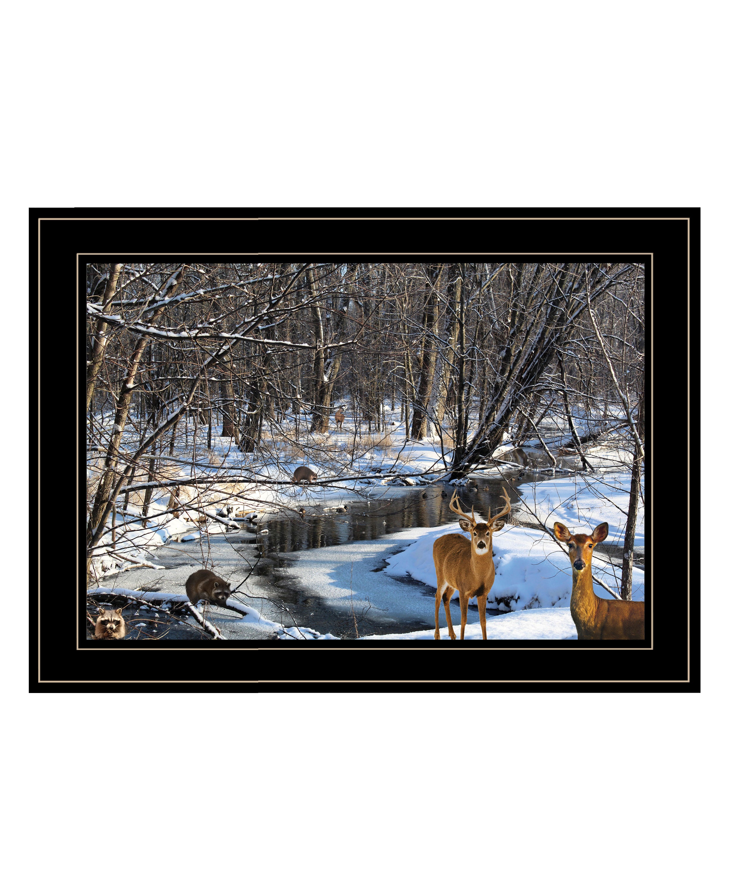 "Great Outdoors- Nature" by Artisan Trendy Decor 4U, Ready to Hang Framed Print, Black Frame--1