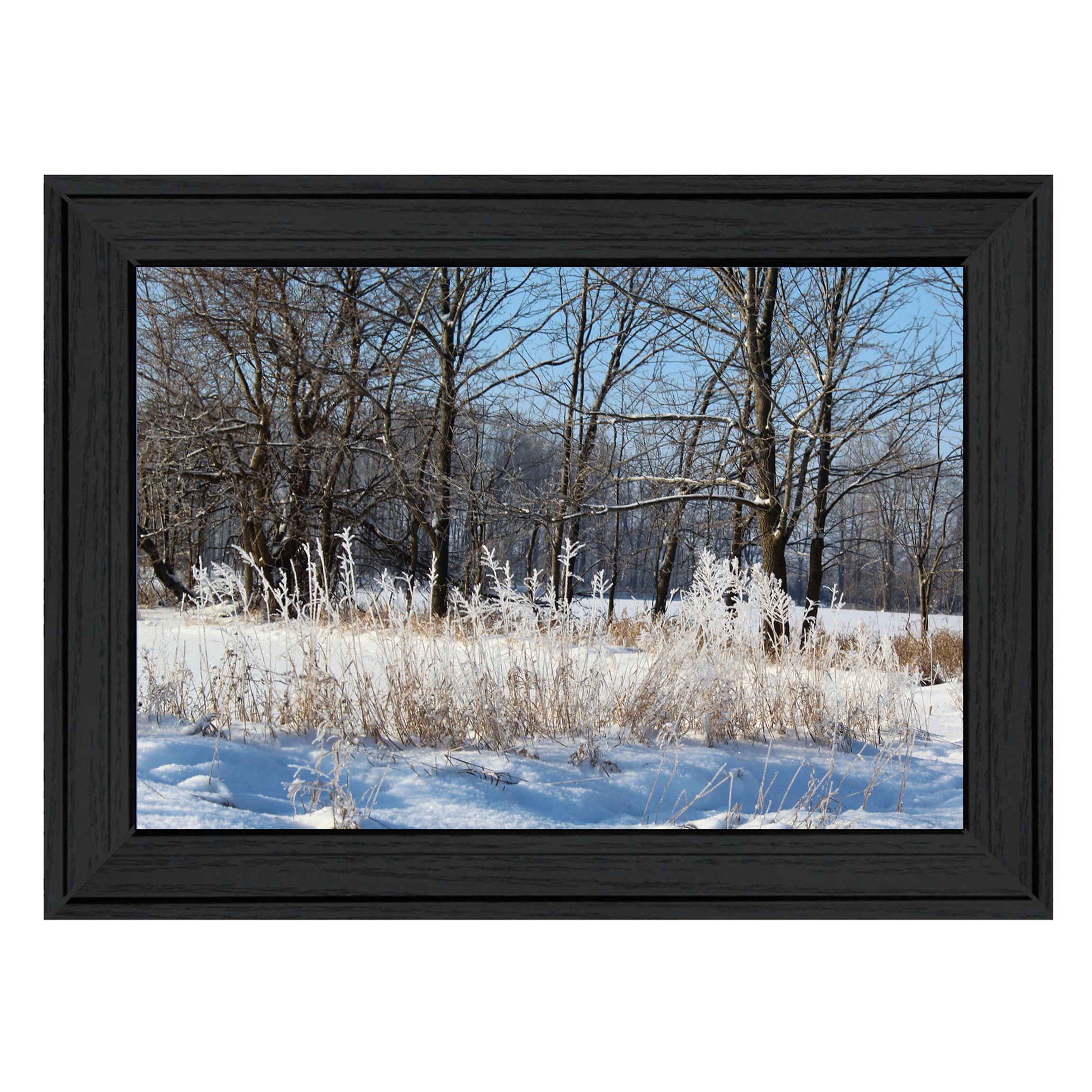 "Natures Simple Blessings" by Artisan Trendy Decor 4U, Ready to Hang Framed Print, Black Frame--1