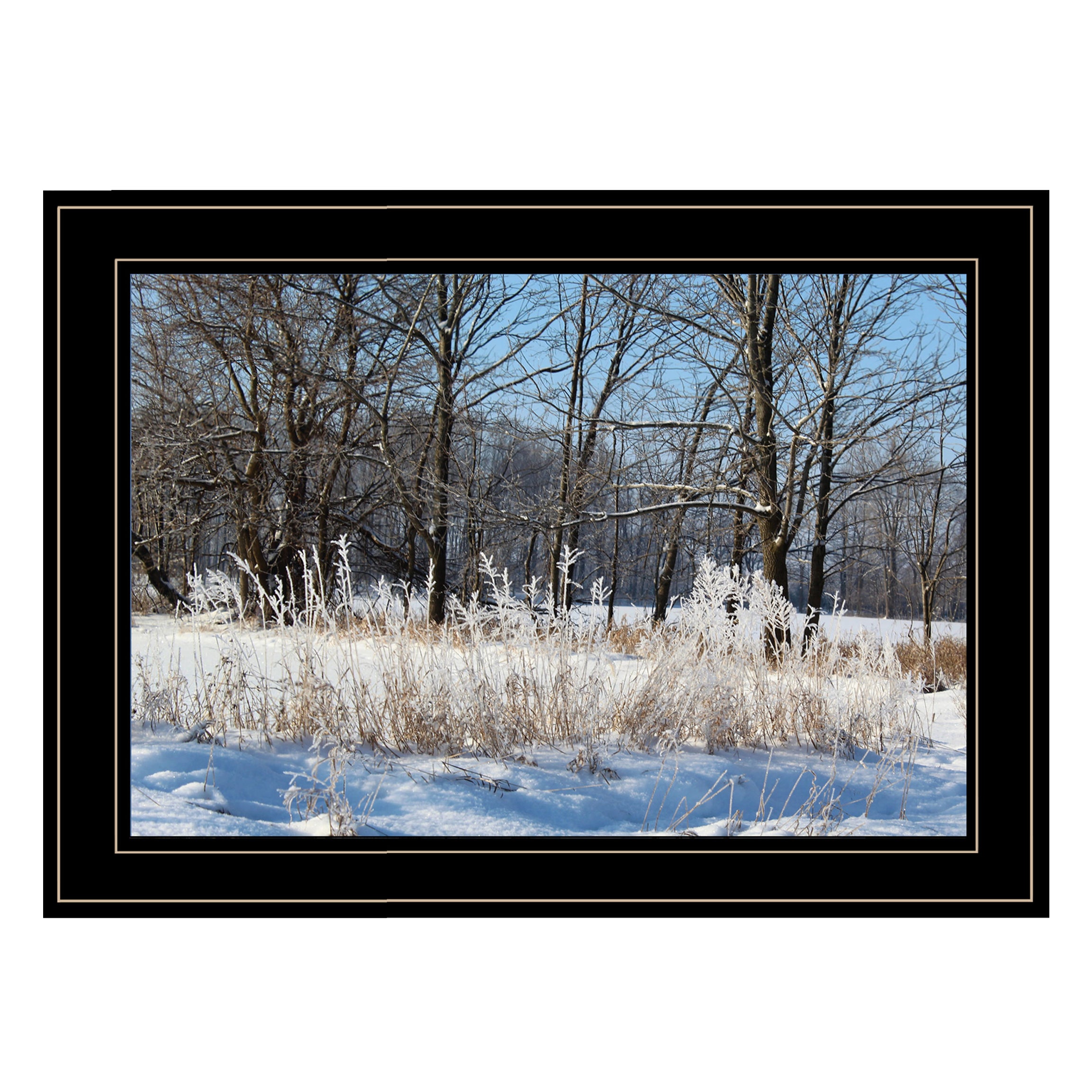 "Natures Simple Blessings" by Artisan Trendy Decor 4U, Ready to Hang Framed Print, Black Frame--1