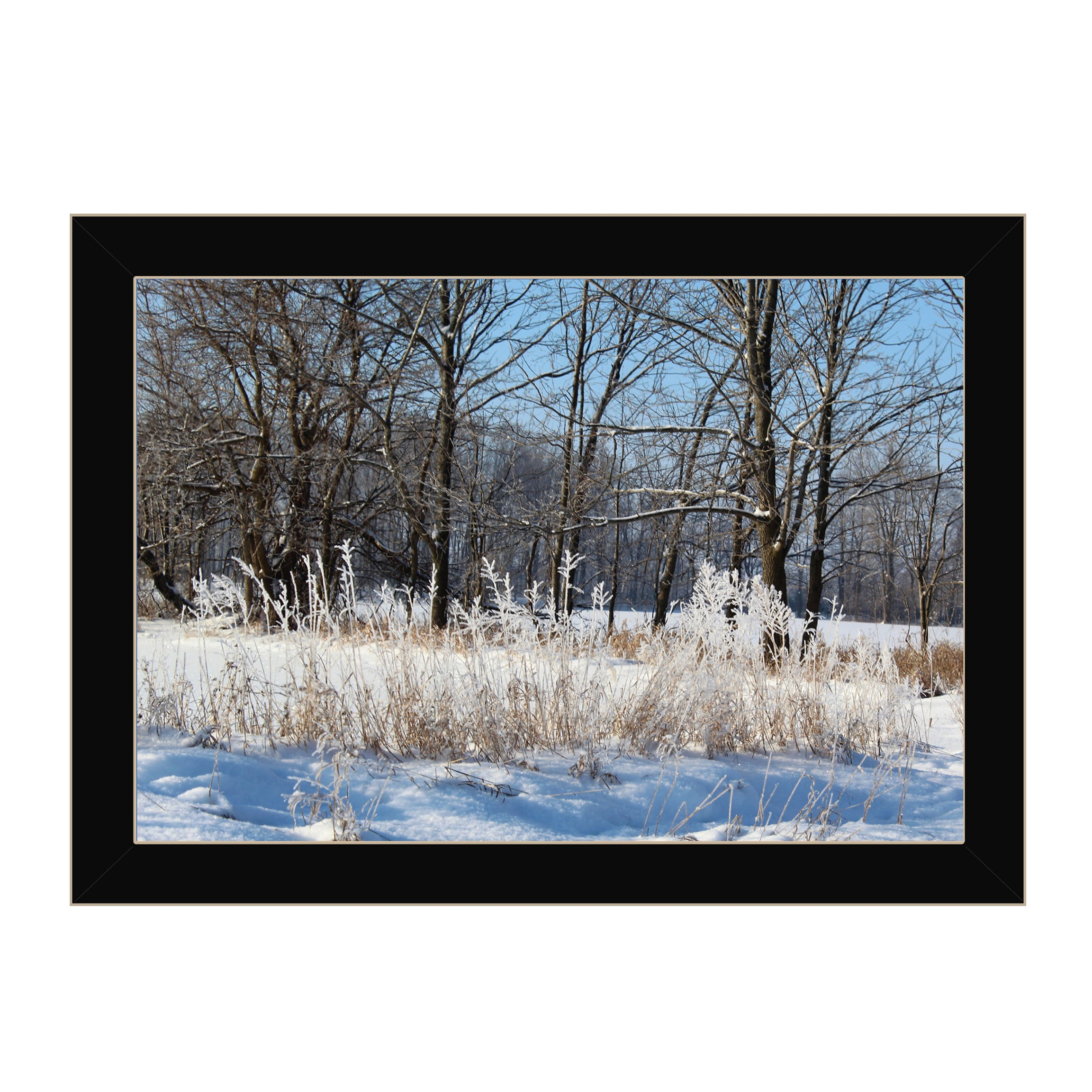 "Natures Simple Blessings" by Artisan Trendy Decor 4U, Ready to Hang Framed Print, Black Frame--1