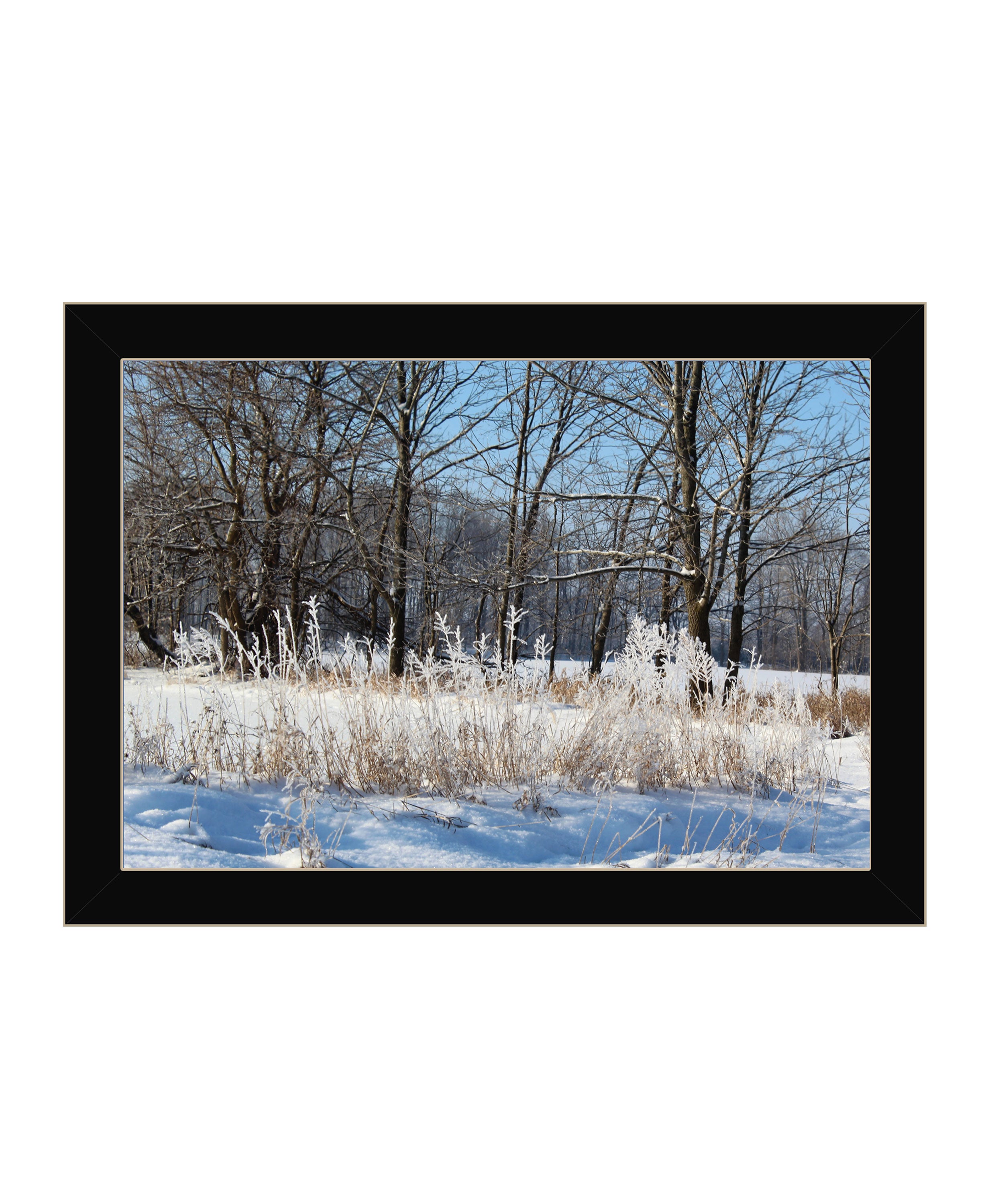 "Natures Simple Blessings" by Artisan Trendy Decor 4U, Ready to Hang Framed Print, Black Frame--1