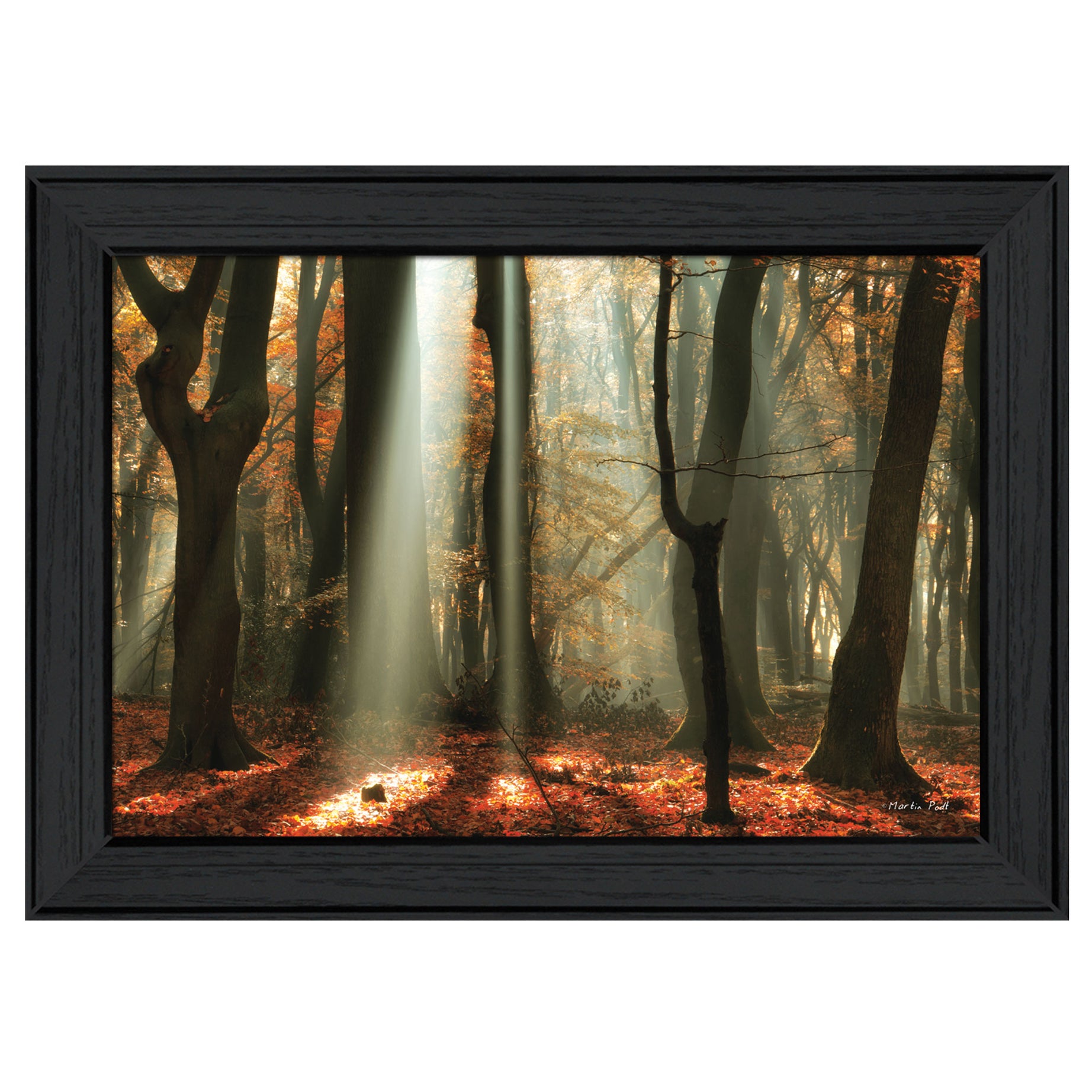 "Beam Me Up" By Martin Podt, Printed Wall Art, Ready To Hang Framed Poster, Black Frame--1