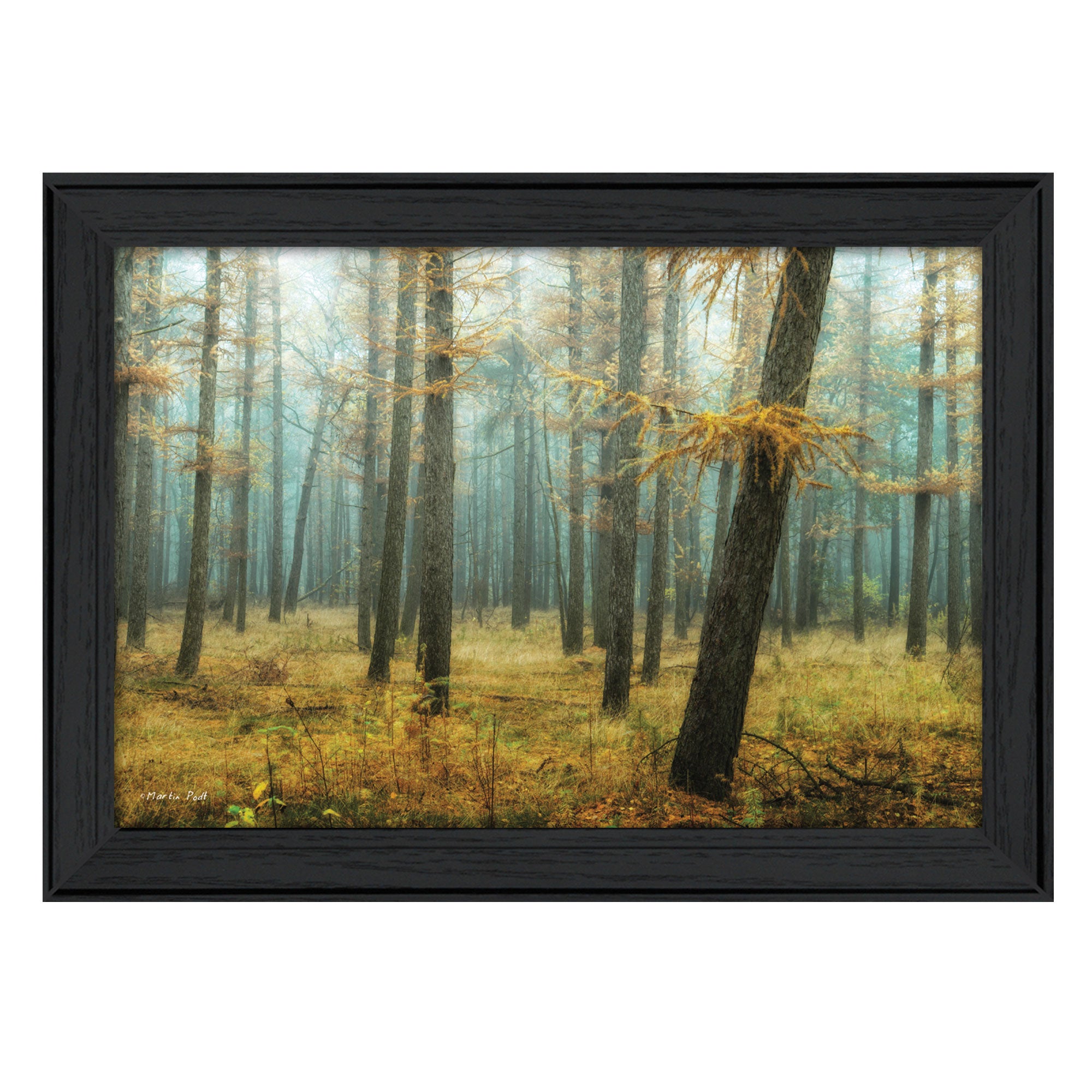 "Holterberg in the Mist" By Martin Podt, Printed Wall Art, Ready To Hang Framed Poster, Black Frame--1