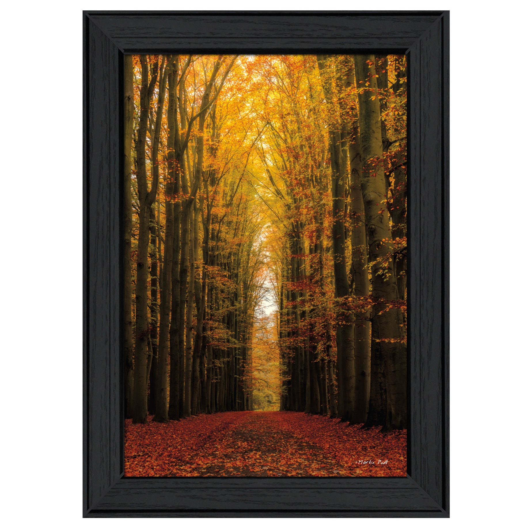 "Highway to Heaven" By Martin Podt, Printed Wall Art, Ready To Hang Framed Poster, Black Frame--1