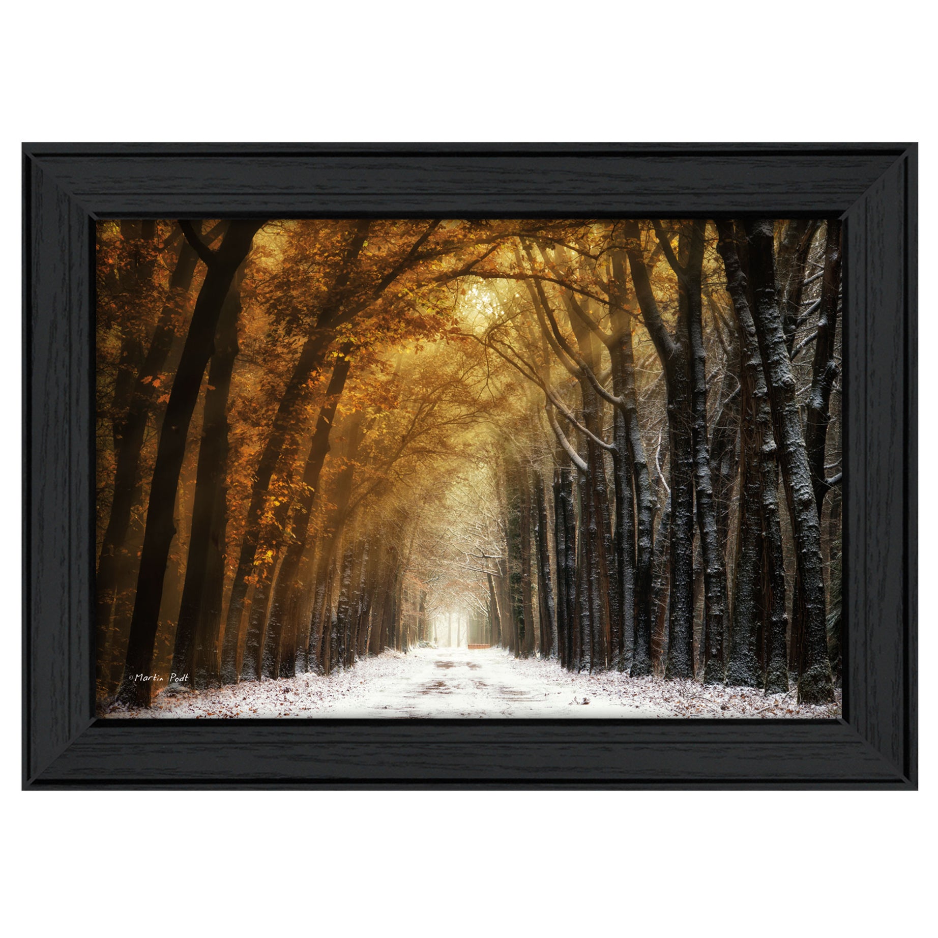 "Autumn to Winter" By Martin Podt, Printed Wall Art, Ready To Hang Framed Poster, Black Frame--1