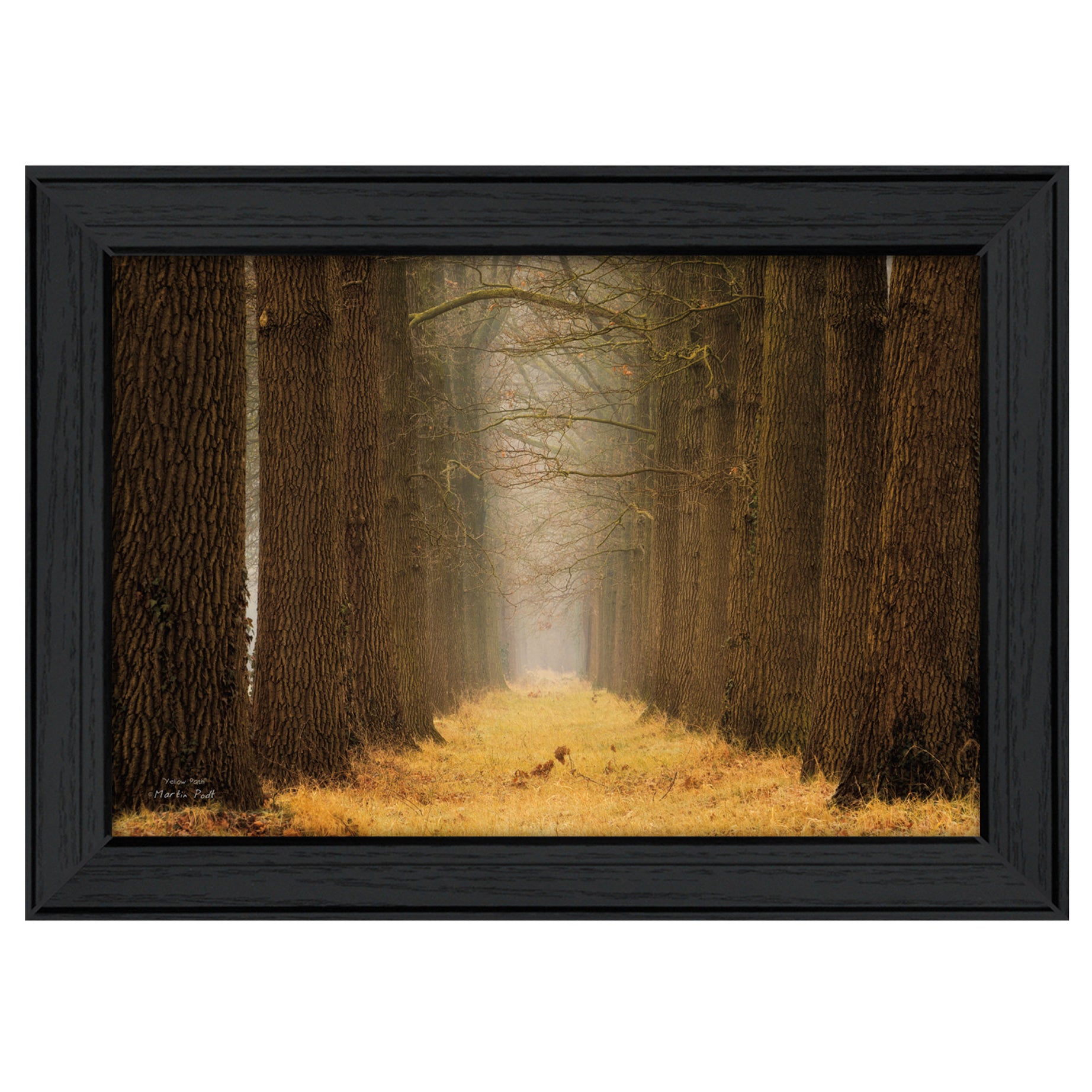 "Yellow Path" By Martin Podt, Printed Wall Art, Ready To Hang Framed Poster, Black Frame--1