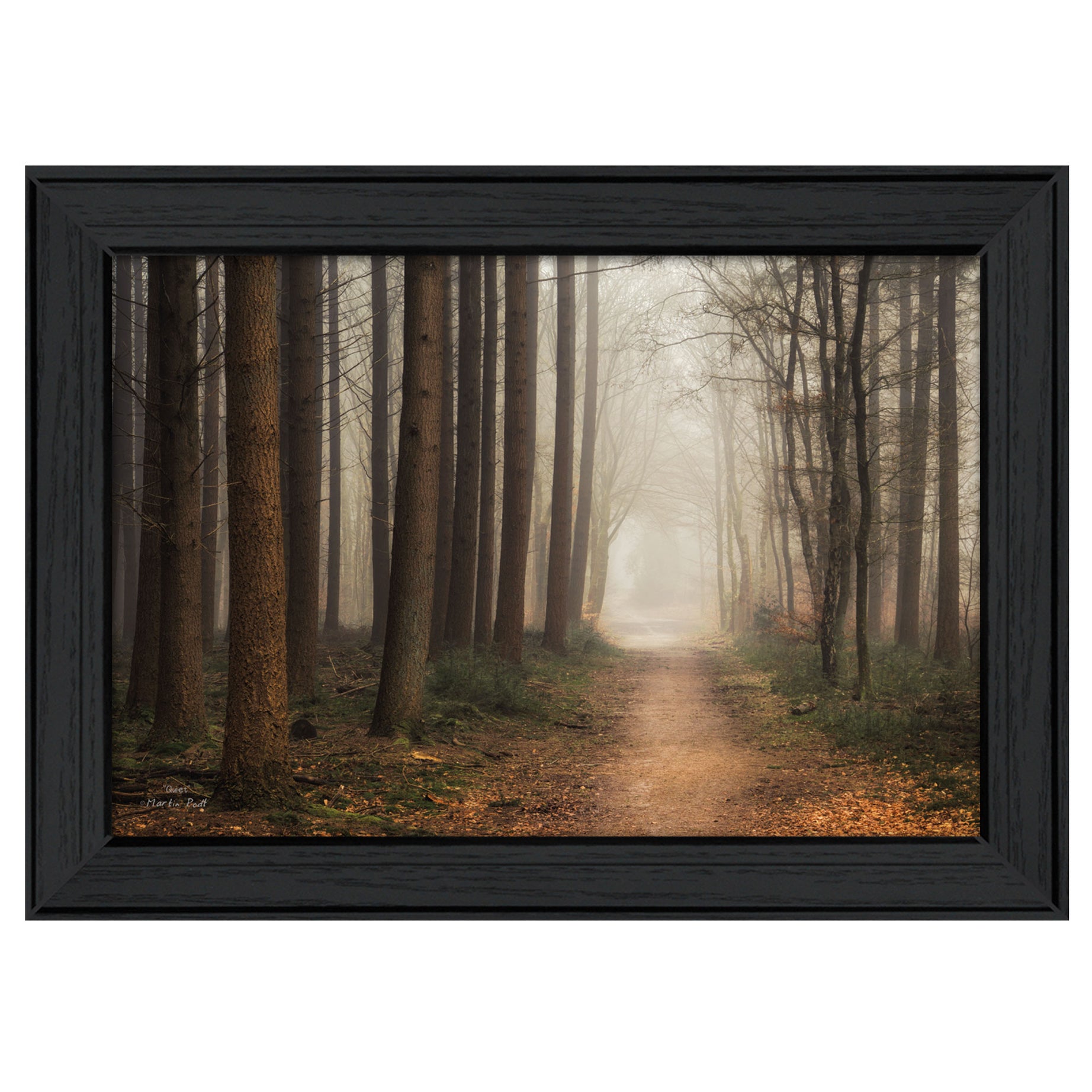 "Quiet" By Martin Podt, Printed Wall Art, Ready To Hang Framed Poster, Black Frame--1