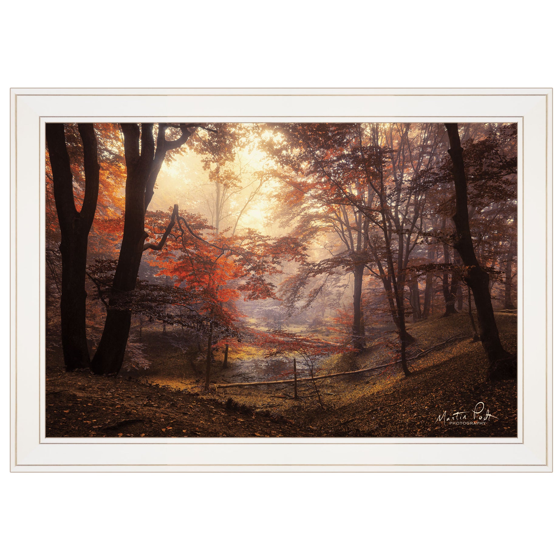 "The Pool" by Martin Podt, Ready to Hang Framed print, White Frame--1