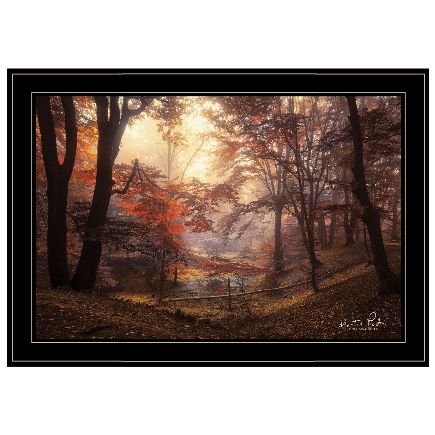 "The Pool" by Martin Podt, Ready to Hang Framed Print, Black Frame--1