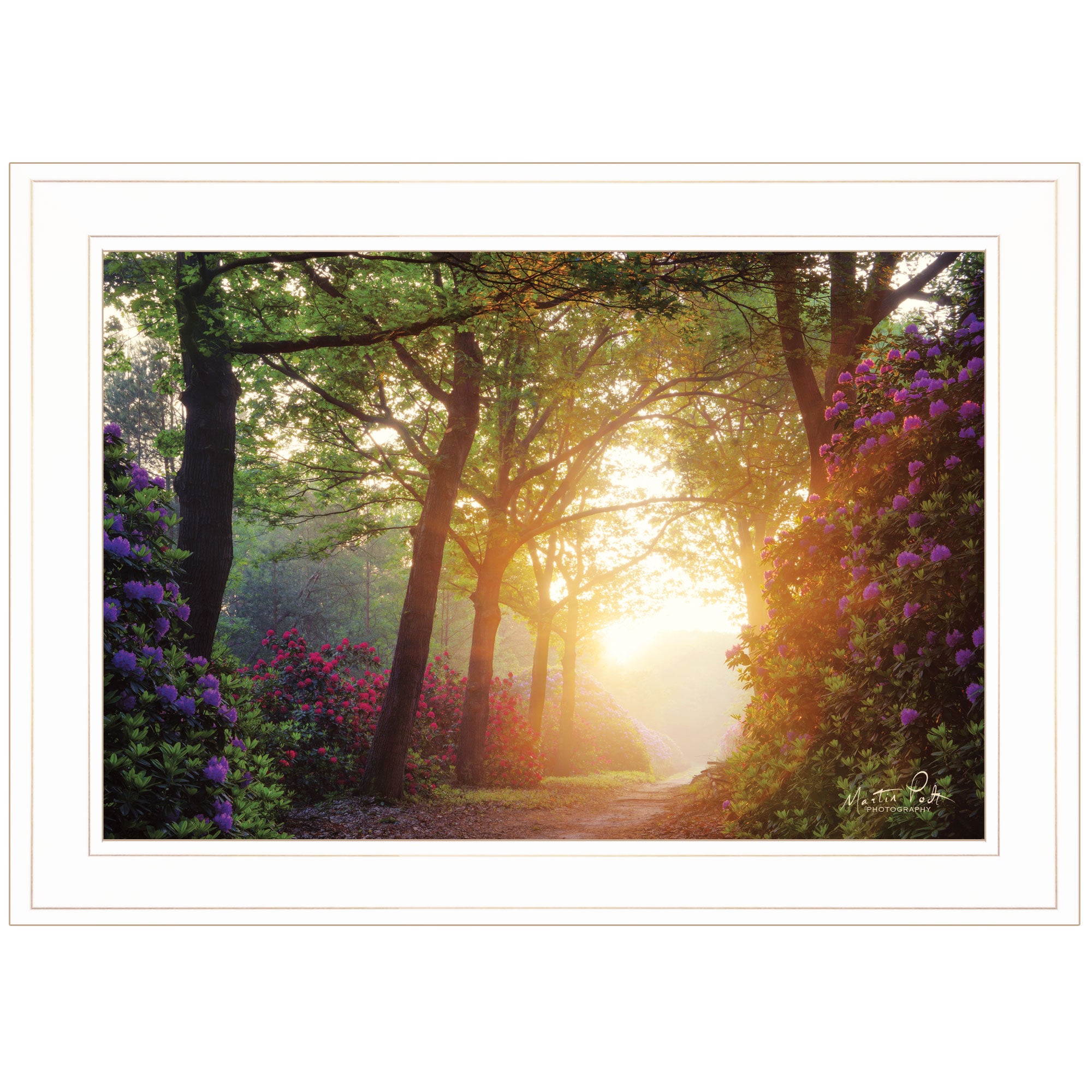 "Color Overdose" by Martin Podt, Ready to Hang Framed Print, White Frame--1