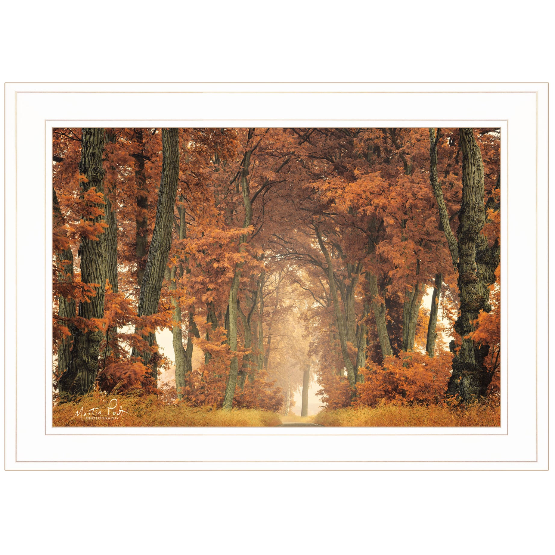 "Follow Your Own Way" by Martin Podt, Ready to Hang Framed Print, White Frame--1