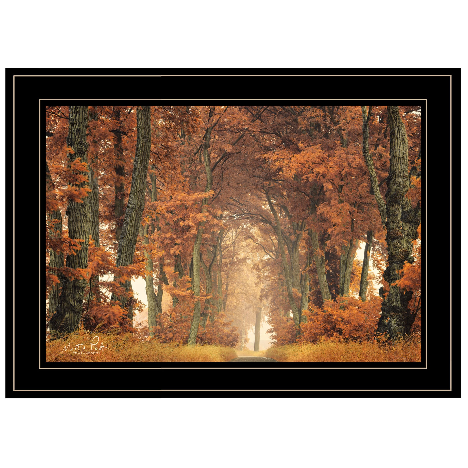 "Follow Your Own Way" by Martin Podt, Ready to Hang Framed Print, Black Frame--1