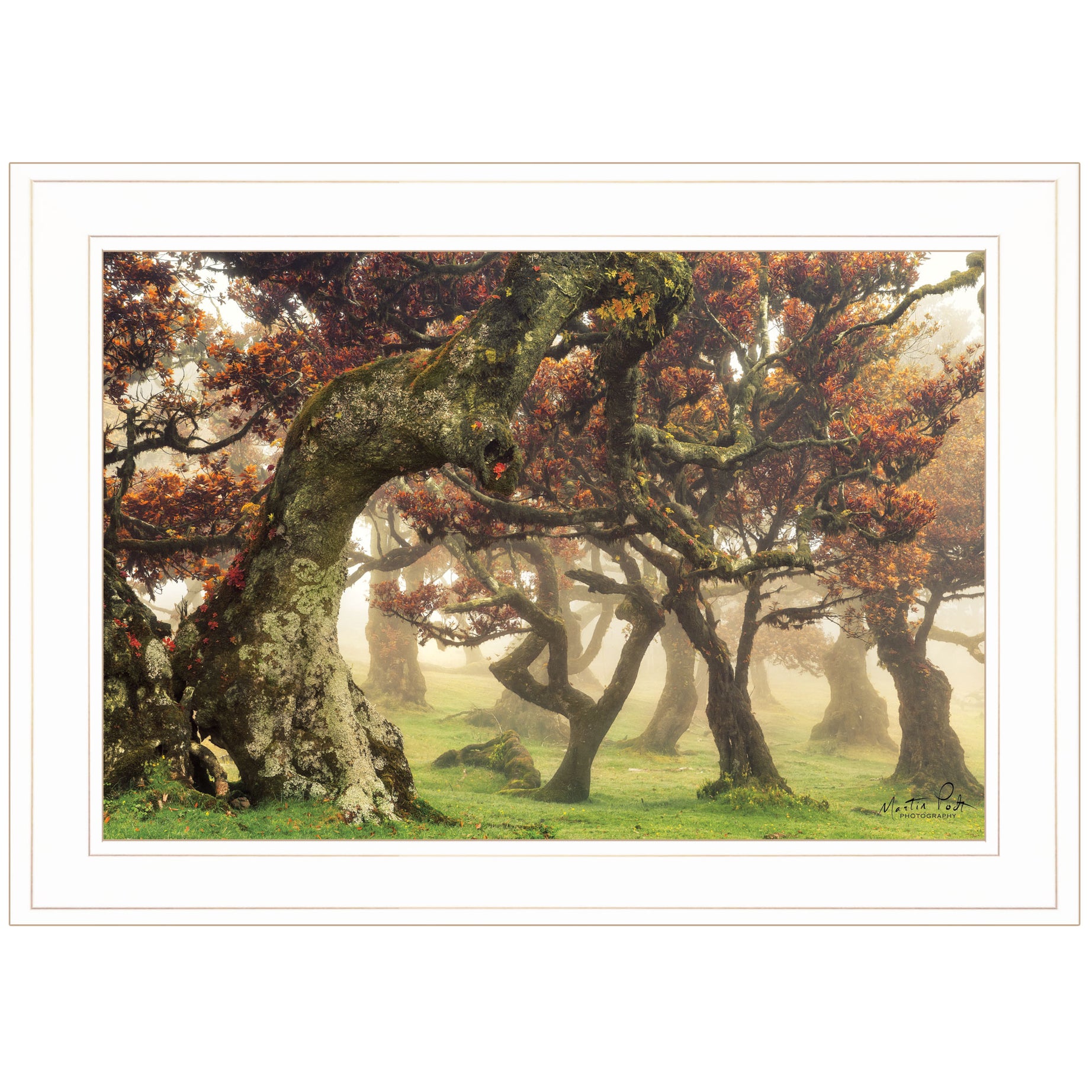 "Fanal" by Martin Podt, Ready to Hang Framed Print, White Frame--1