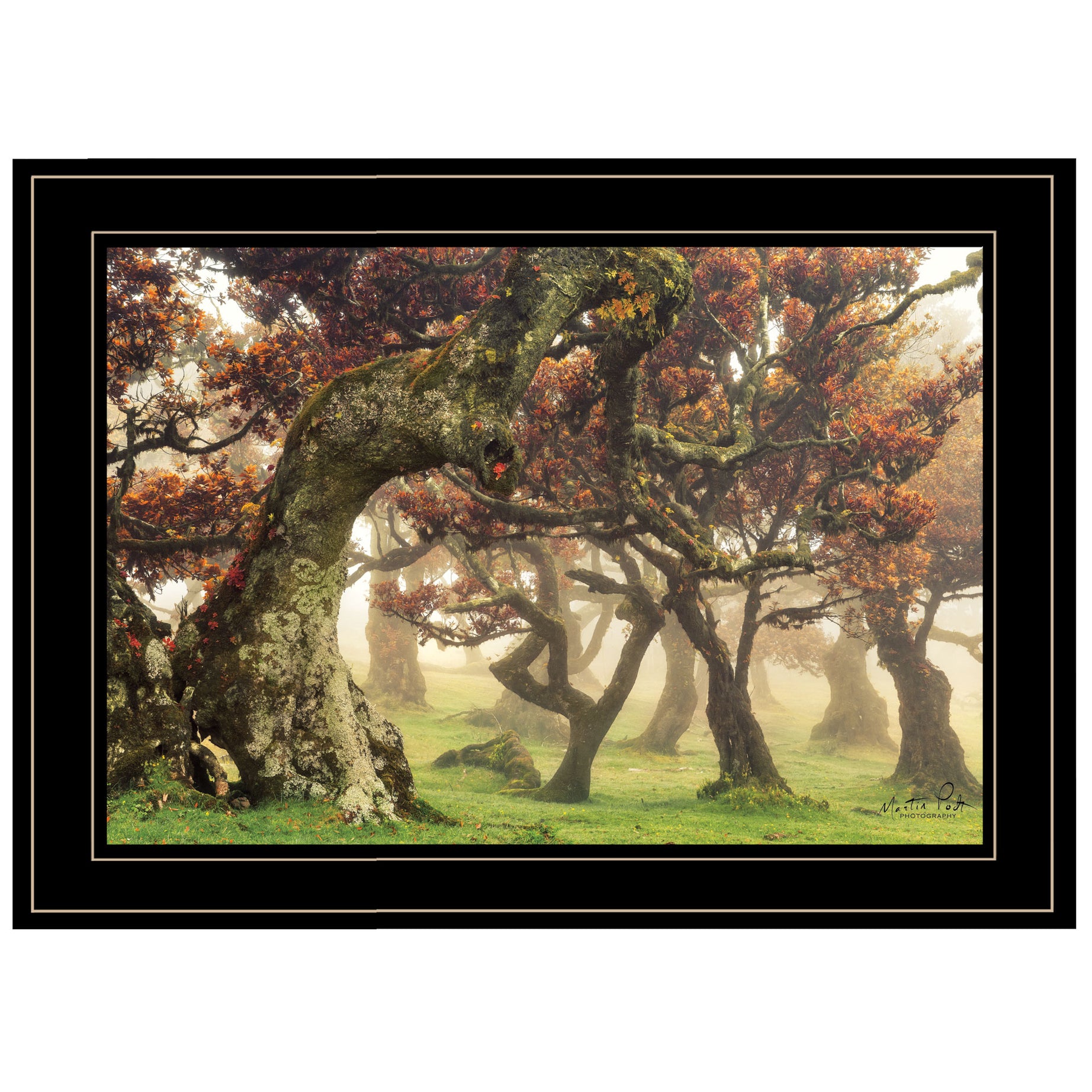 "Fanal" Martin Podt, Ready to Hang Framed Print, Black Frame--1