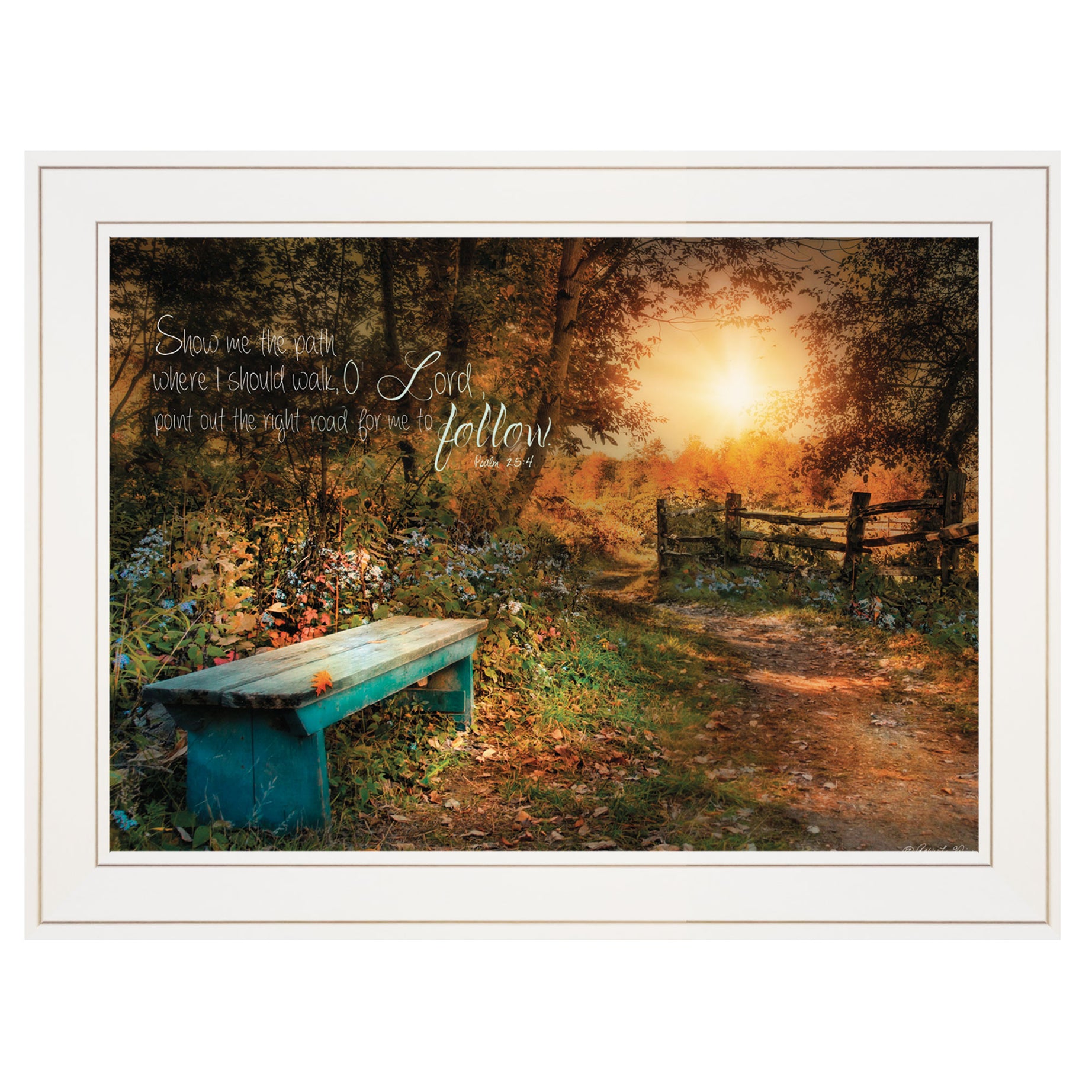 "Show Me the Path" by Robin-Lee Vieira, Ready to Hang Framed print, White Frame--1