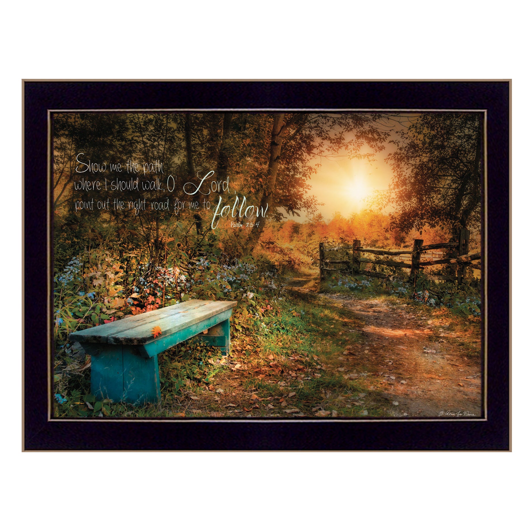 "Show Me the Path" by Robin-Lee Vieira, Ready to Hang Framed Print, Black Frame--1