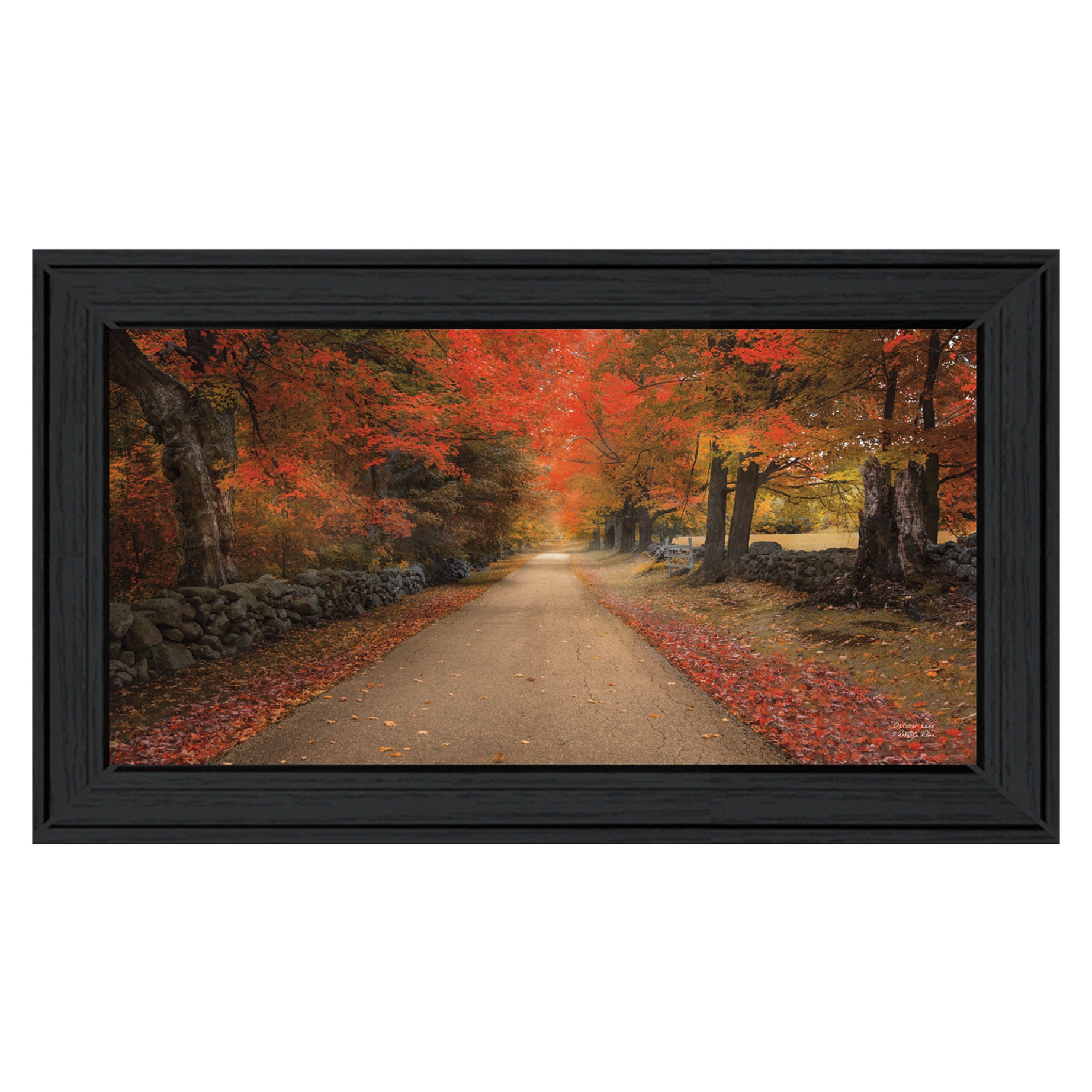 "October Lane" By Robin-Lee Vieira, Printed Wall Art, Ready To Hang Framed Poster, Black Frame--1