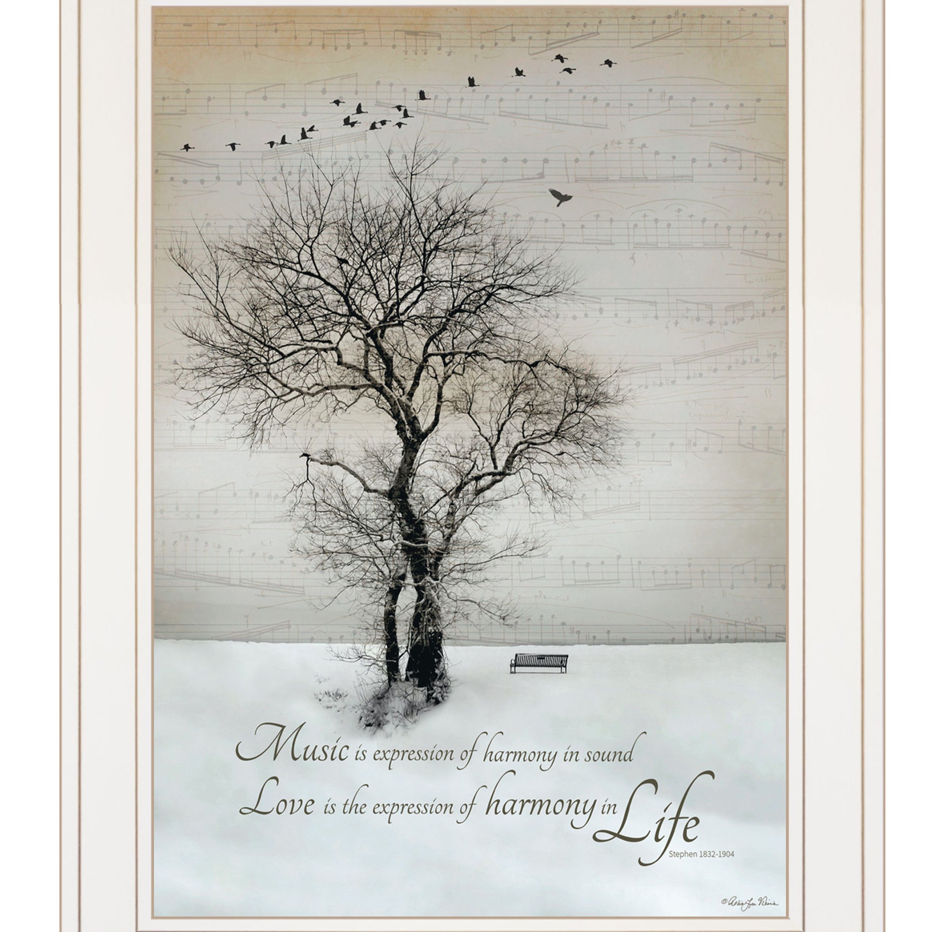 "Harmony" by Artisan Robin-Lee Vieira, Ready to Hang Framed Print, White Frame--1