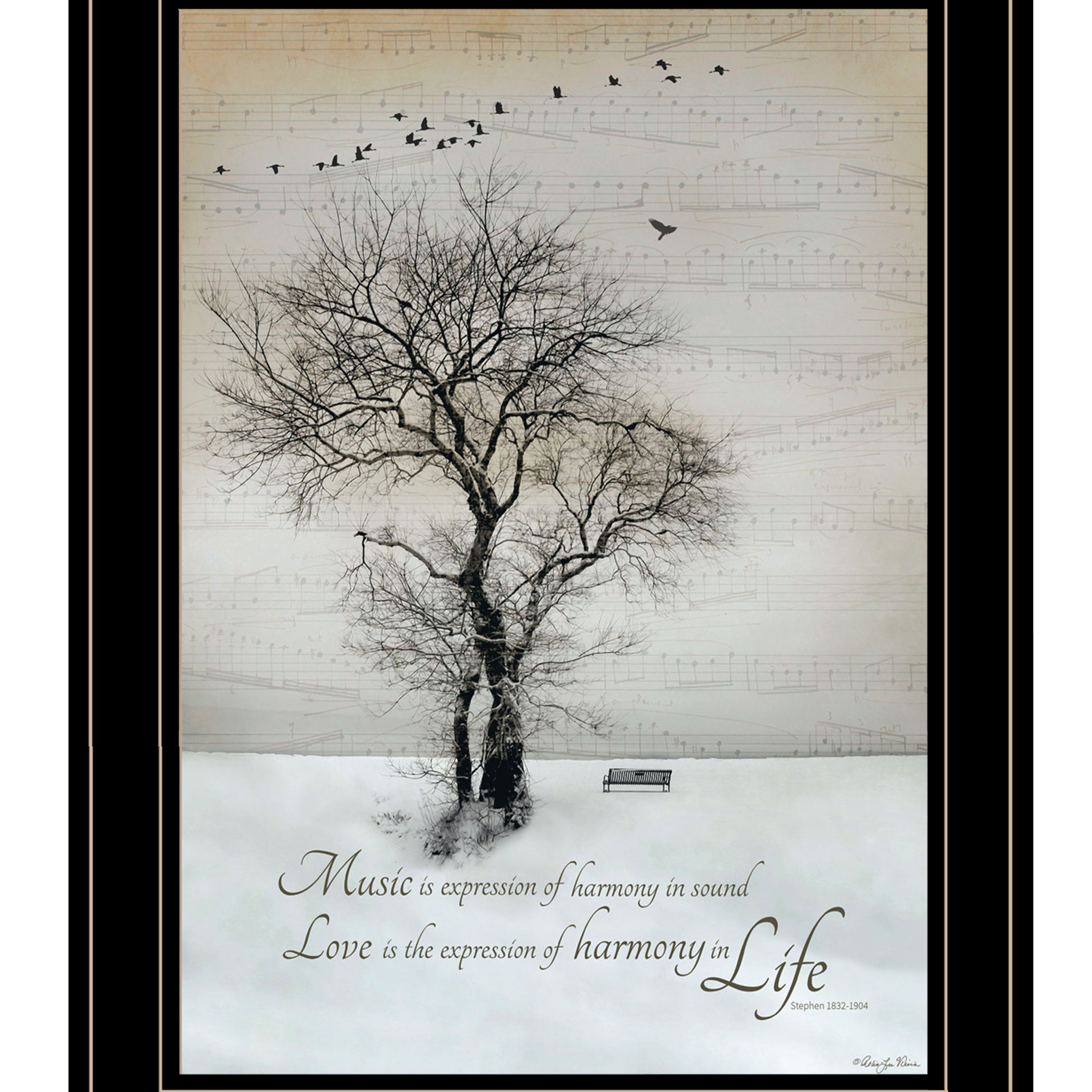 "Harmony" by Artisan Robin-Lee Vieira, Ready to Hang Framed Print, Black Frame--1