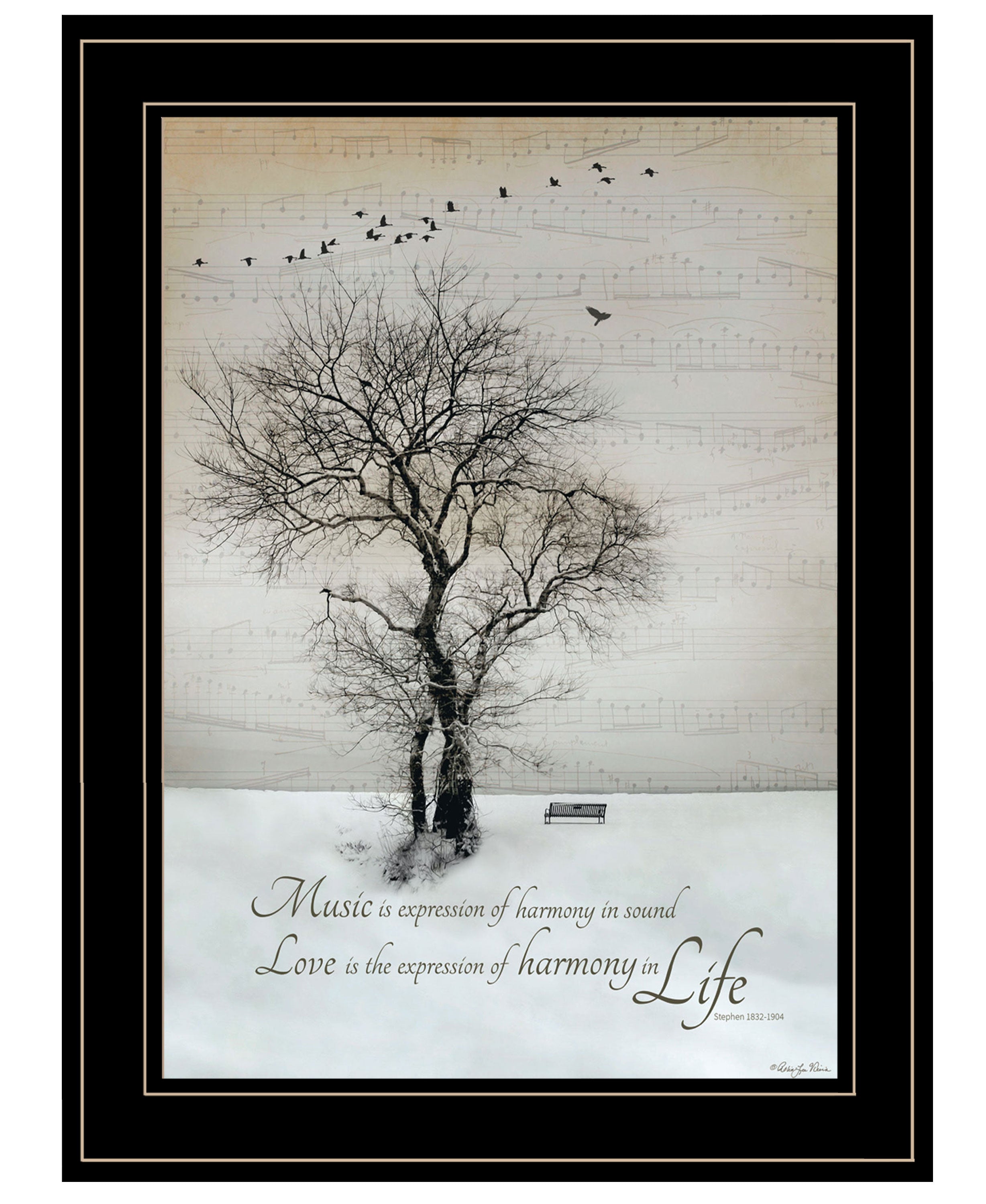 "Harmony" by Artisan Robin-Lee Vieira, Ready to Hang Framed Print, Black Frame--1