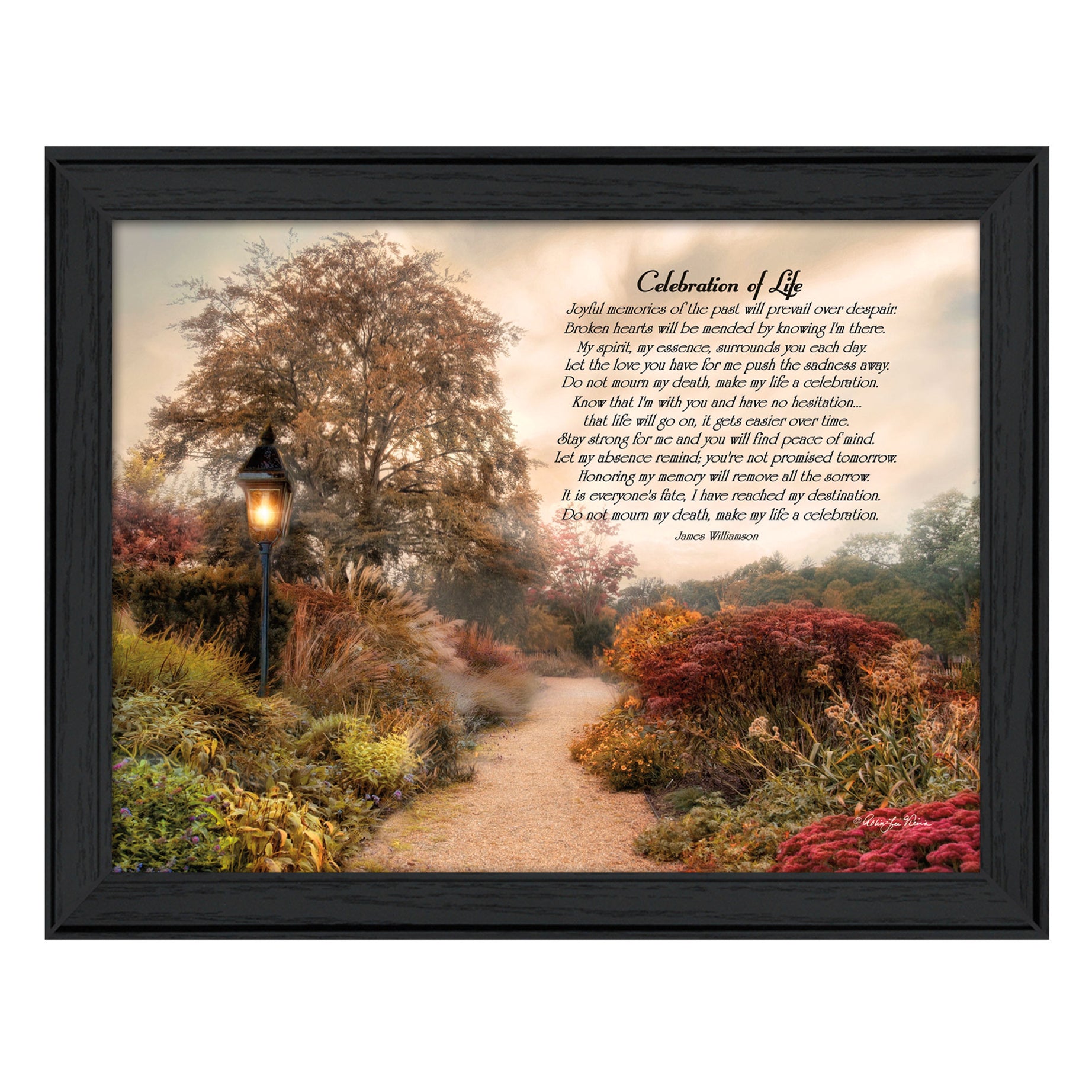 "Celebration of Life" By Robin-Lee Vieira, Printed Wall Art, Ready To Hang Framed Poster, Black Frame--1