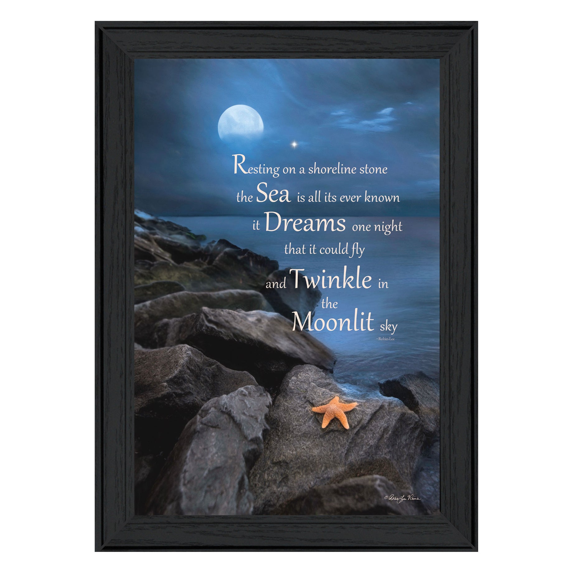 "The Dream" By Robin-Lee Vieira, Printed Wall Art, Ready To Hang Framed Poster, Black Frame--1