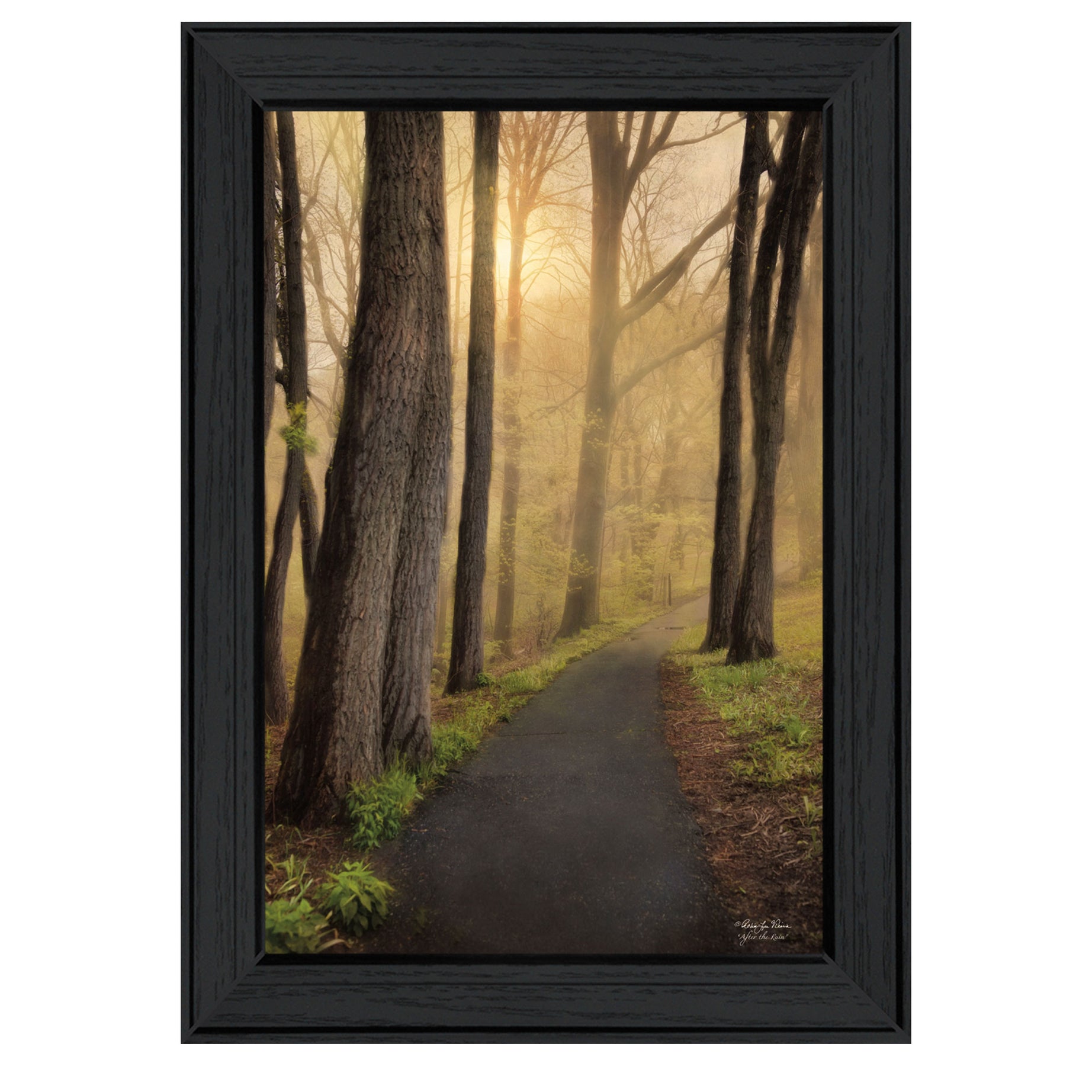 "After The Rain" By Robin-Lee Vieira, Printed Wall Art, Ready To Hang Framed Poster, Black Frame--1