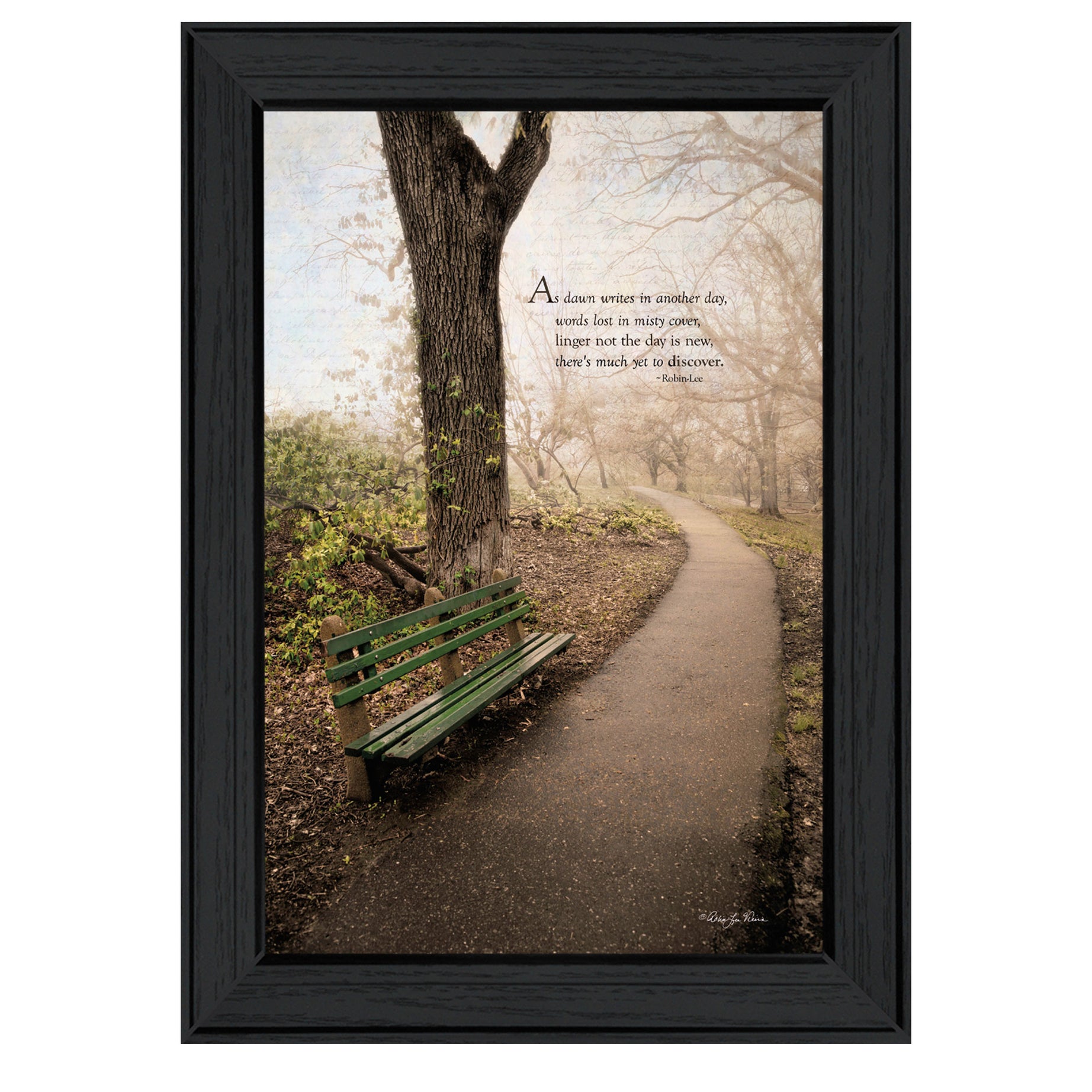 "Through the Mist" By Robin-Lee Vieira, Printed Wall Art, Ready To Hang Framed Poster, Black Frame--1