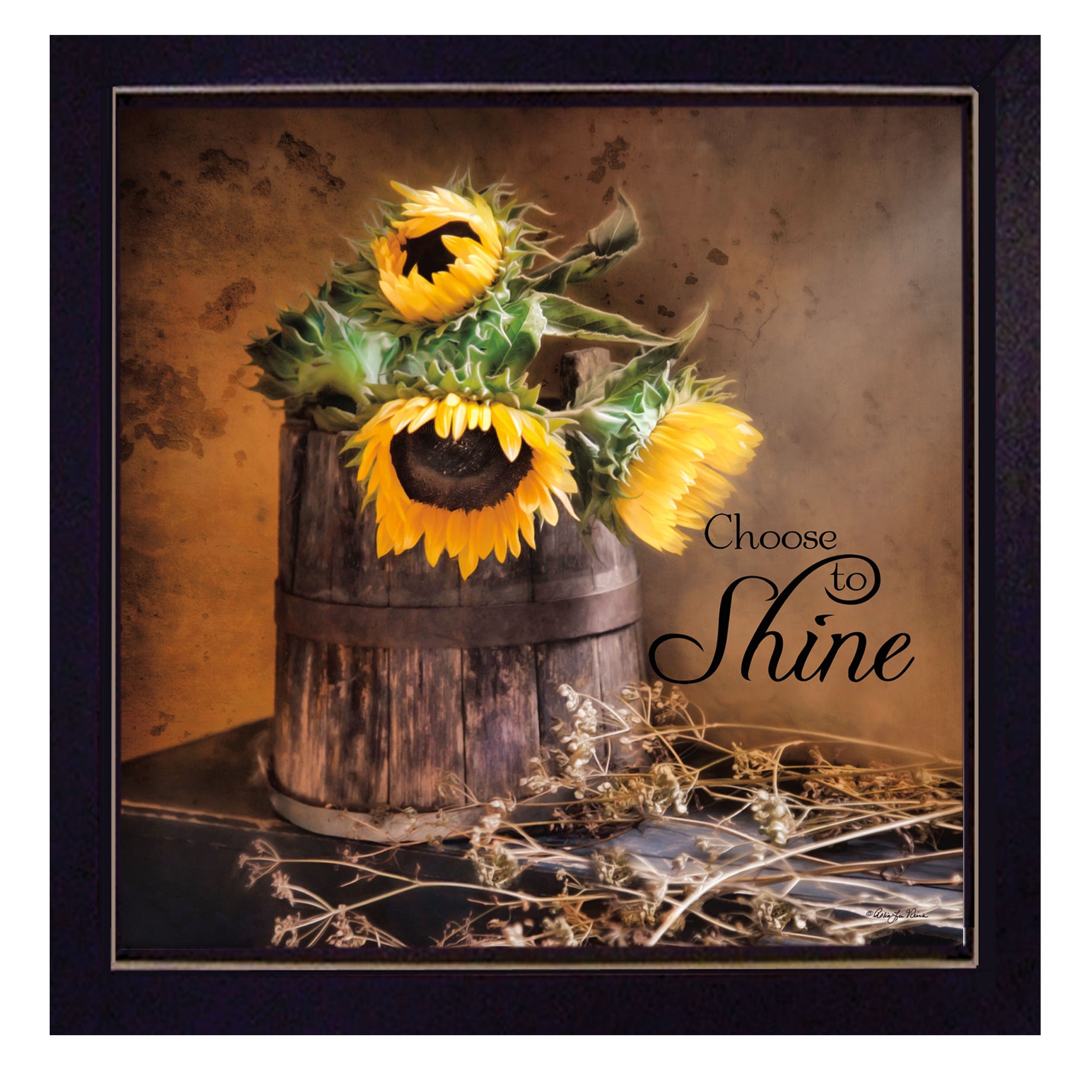 "Choose to Shine" By Robin-Lee Vieira, Printed Wall Art, Ready To Hang Framed Poster, Black Frame--1