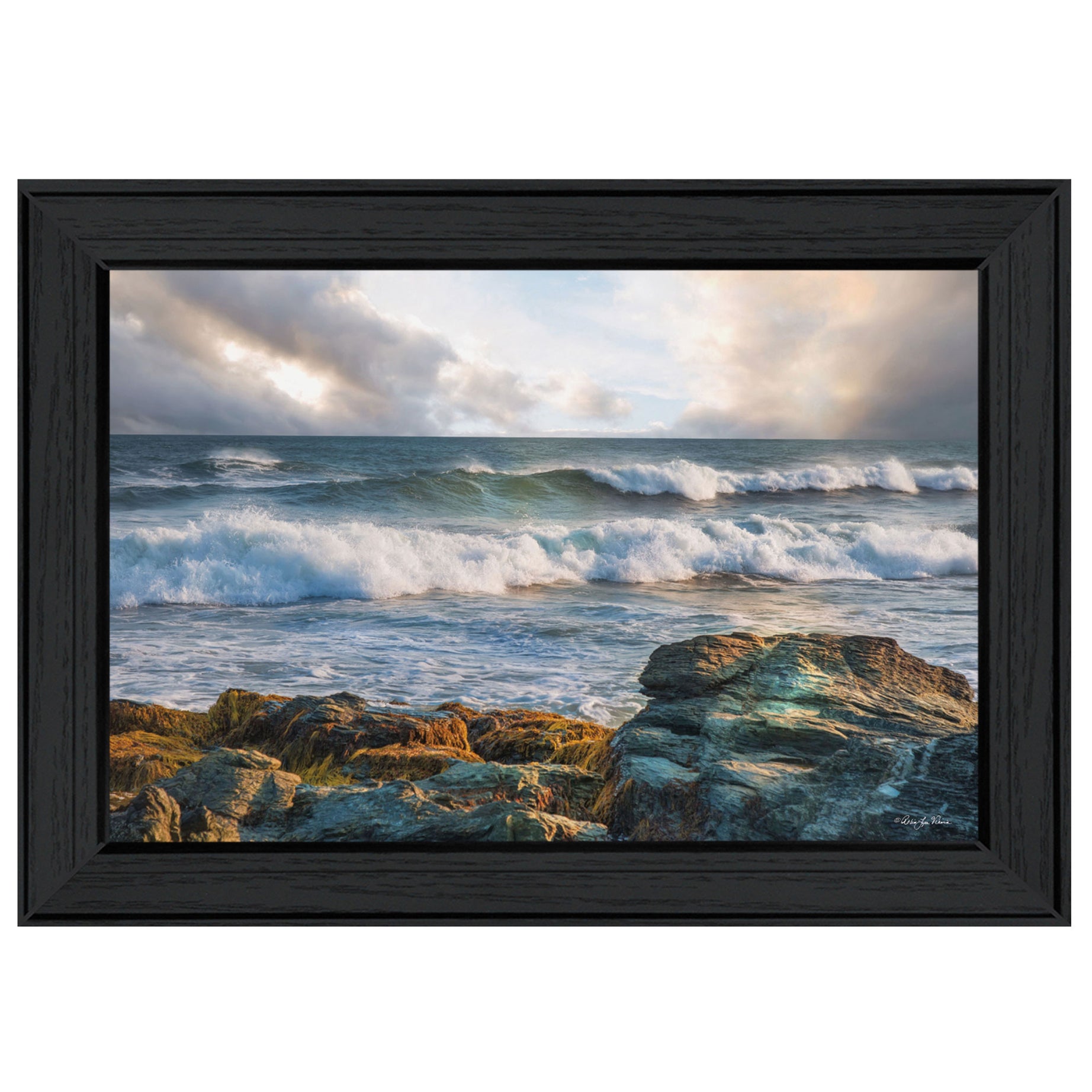 "The Clearing" By Robin-Lee Vieira, Printed Wall Art, Ready To Hang Framed Poster, Black Frame--1