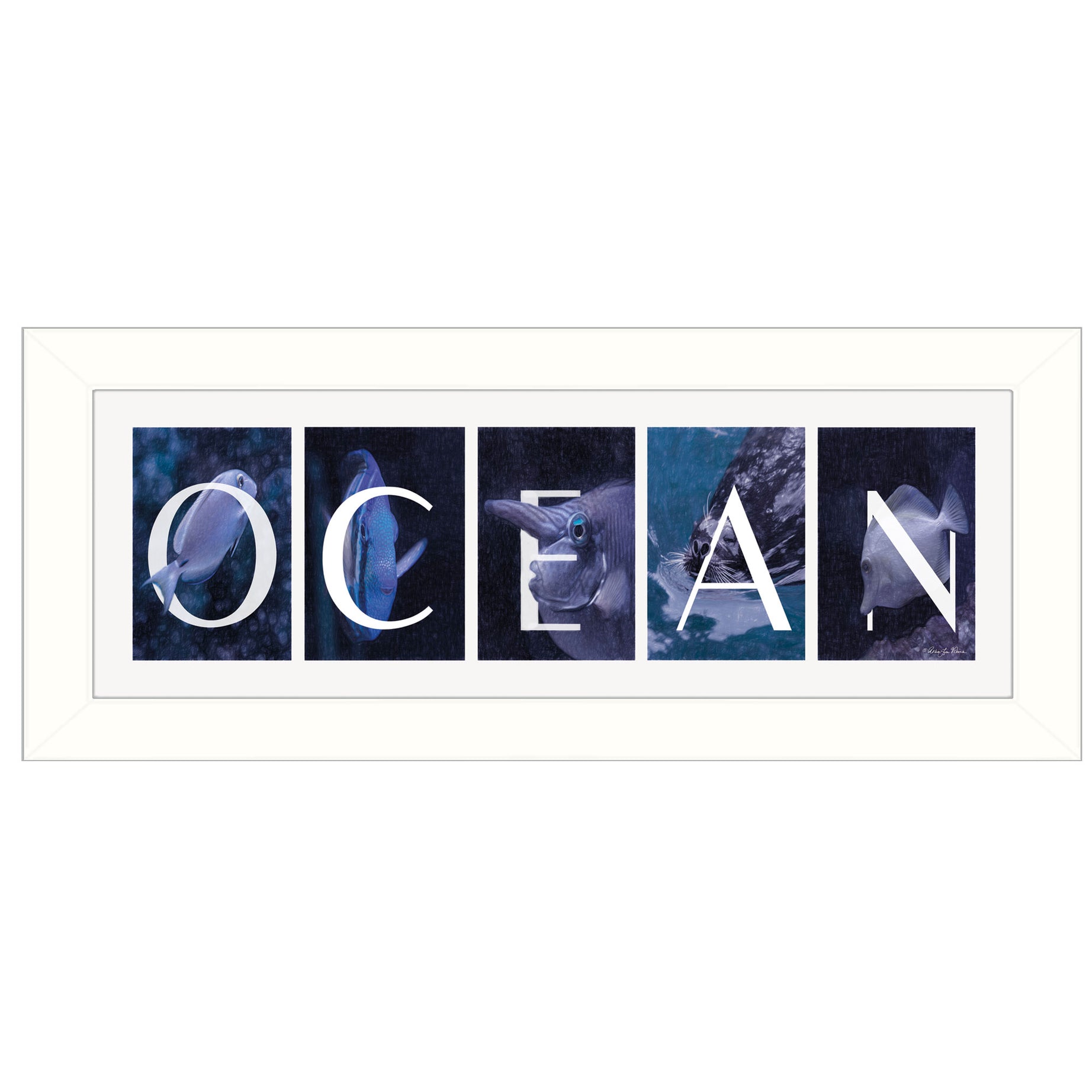 "Ocean" By Robin-Lee Vieira, Printed Wall Art, Ready To Hang Framed Poster, White Frame--1