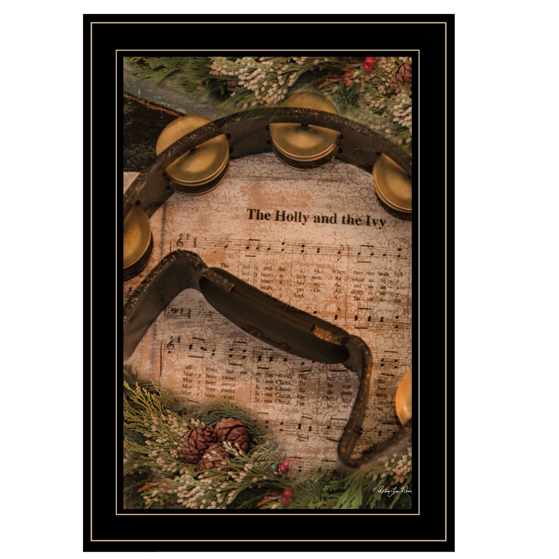 "Holly & Ivy" by Robin Lee Vieria Ready to Hang Framed Print, Black Frame--1